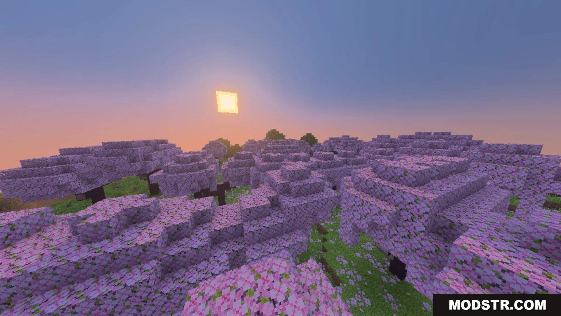 ACD Shaders - New Cinematic Illumination Shader Screenshot 2 Cherry blossom grove at sunset with a glowing sun and soft shadows