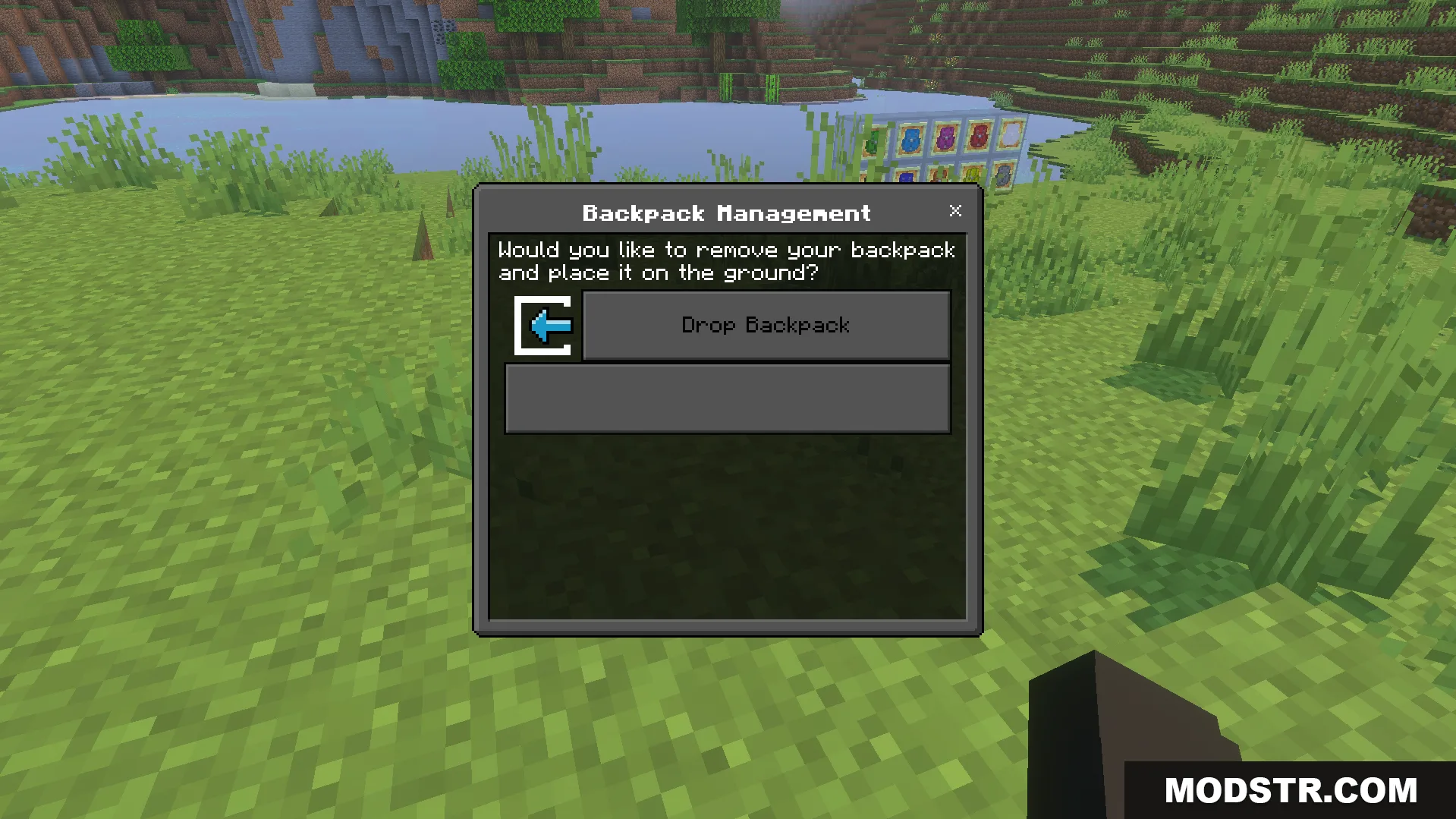 Actual Backpack Addon management menu screen with an option to drop the bag
