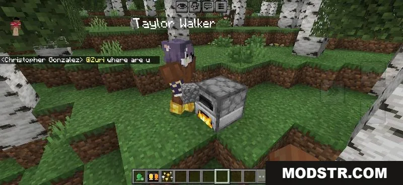 AI Multiplayer Addon Screenshot 3