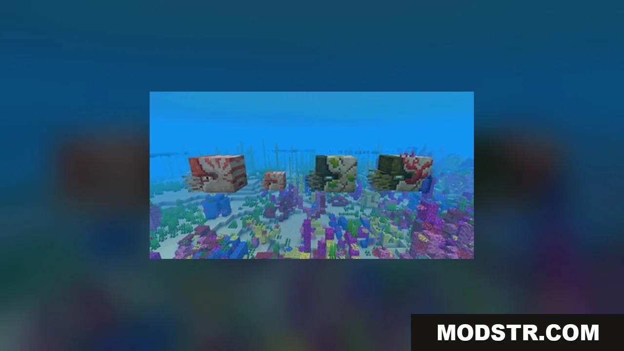 AL's Squids & Nautiluses Resource Pack Screenshot 1 Various nautilus variants swimming together in a colorful coral reef biome