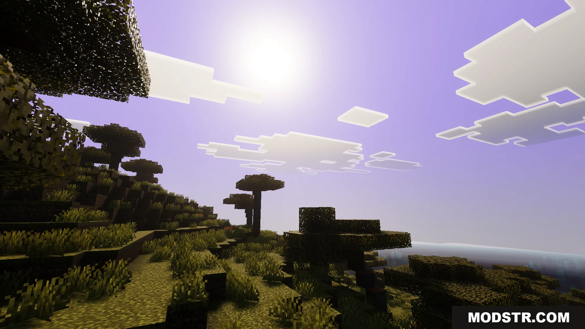 Anima Shader Screenshot 2 Beautiful sunset sky with realistic shadows and vibrant colors in a savanna biome