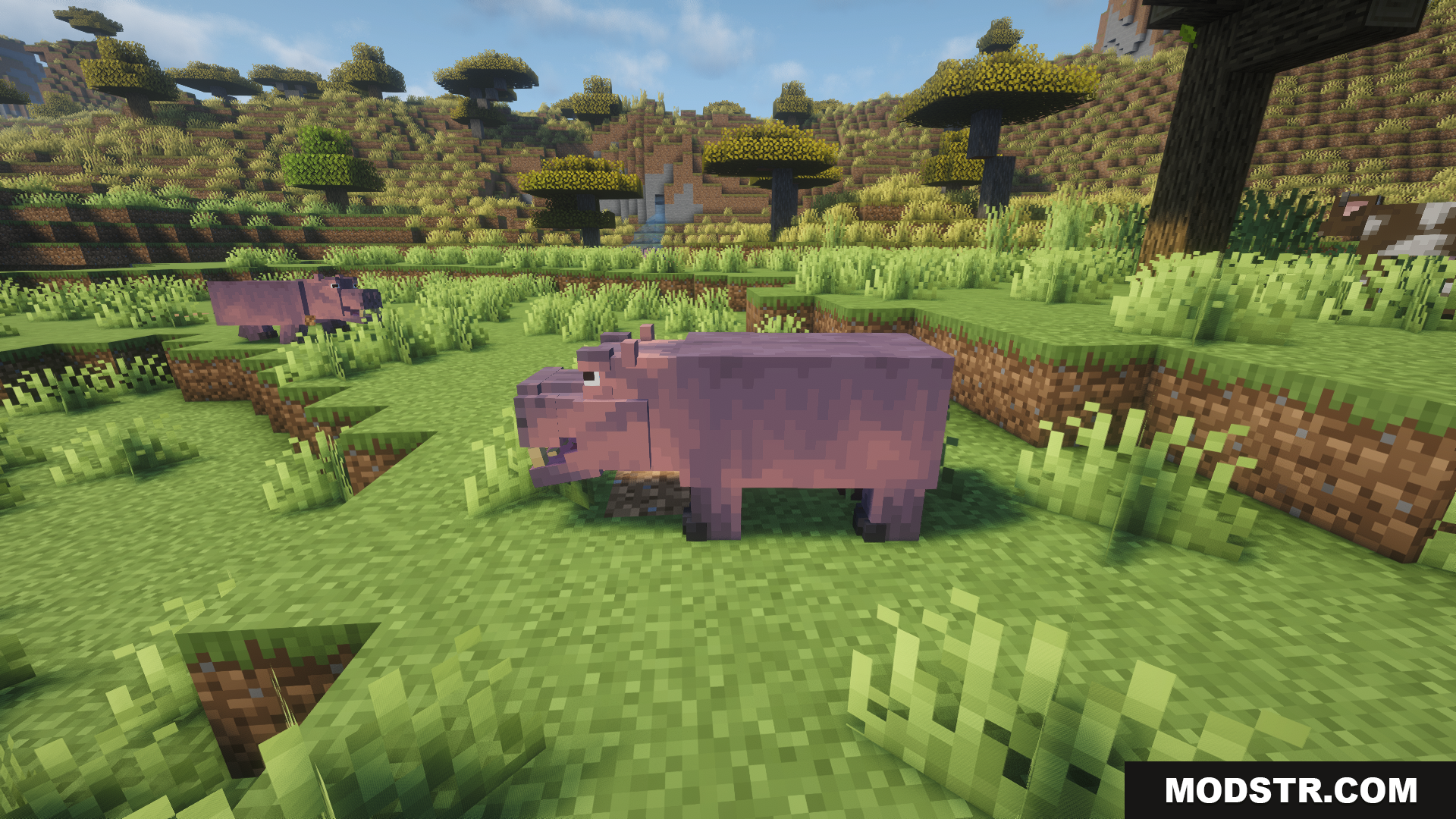 Animal Garden Hippopotamus Mod Screenshot 12 A hippo standing peacefully in a savanna biome
