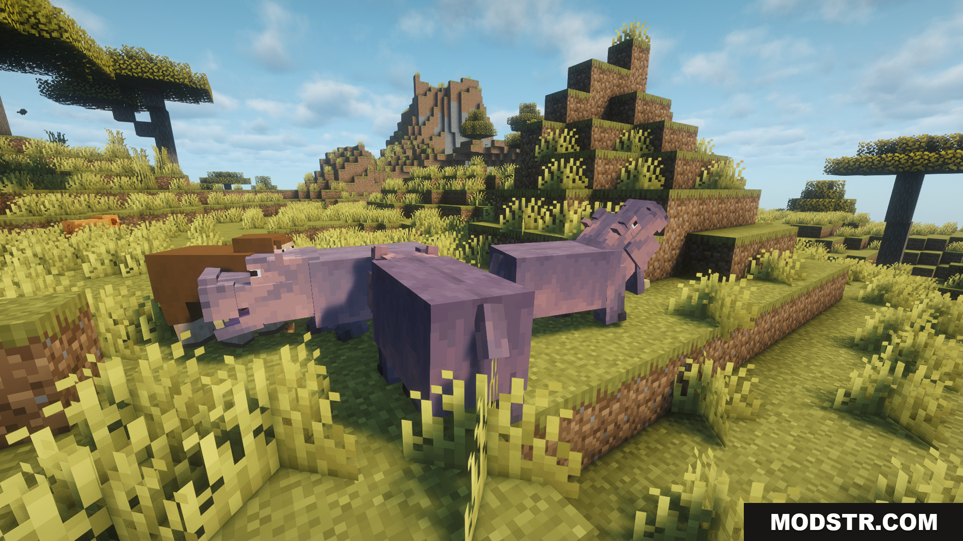 Animal Garden Hippopotamus Mod Screenshot 3 A group of hippos resting in a savanna biome