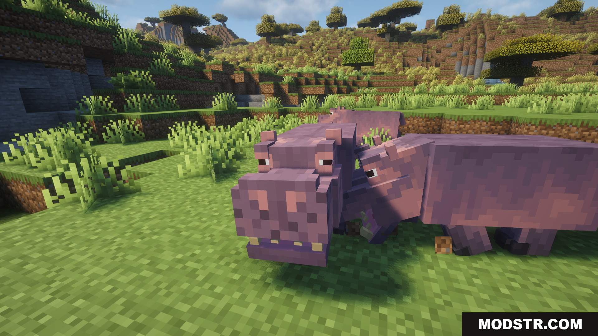 Animal Garden Hippopotamus Mod Screenshot 6 Two hippos standing close together in a grassy field