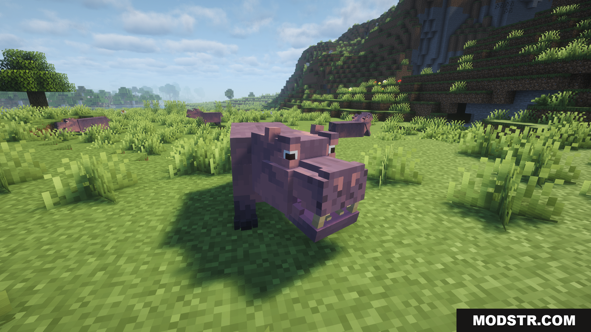 Animal Garden Hippopotamus Mod Screenshot 9 A close up view of the blocky hippo mob