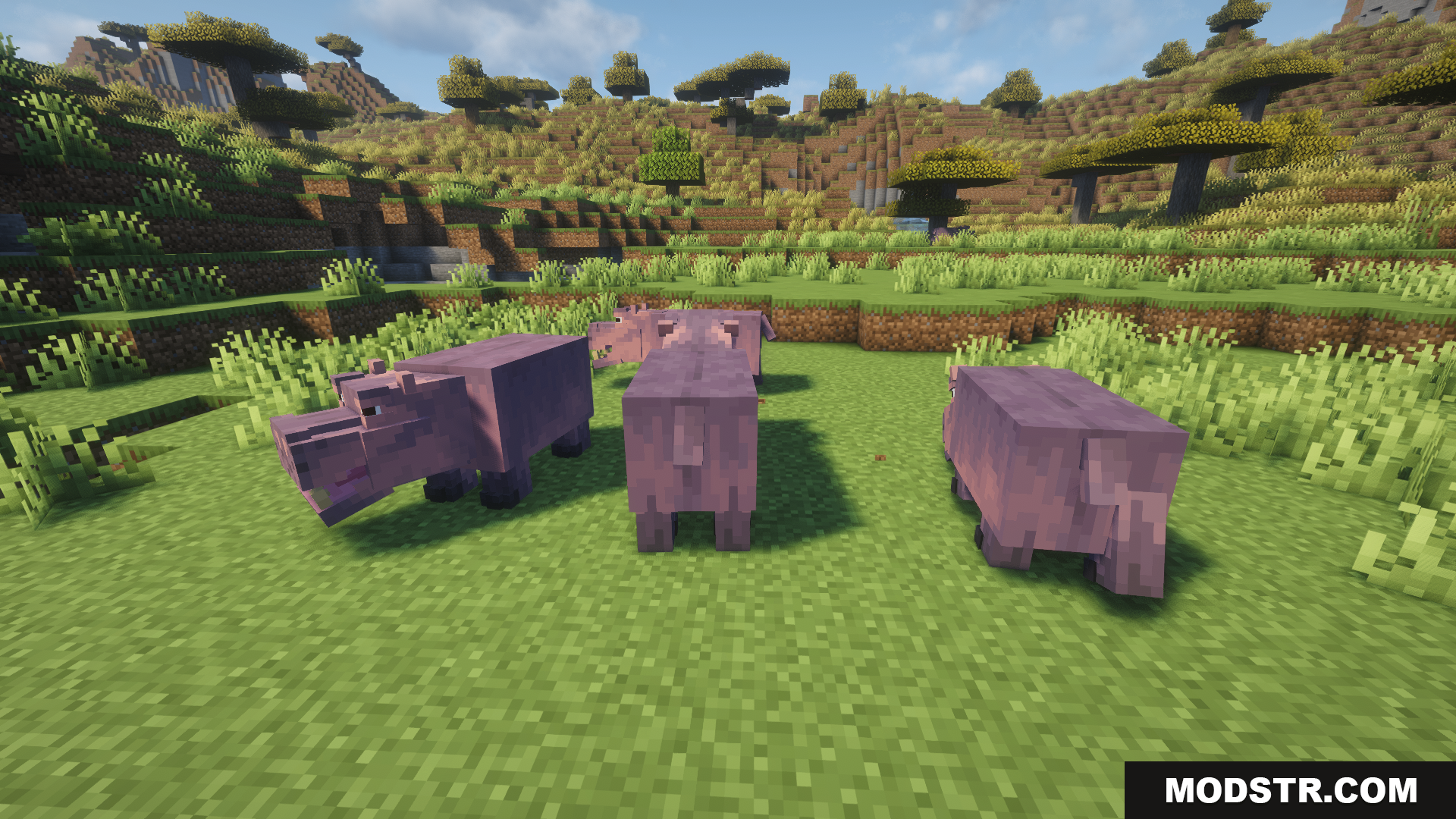 Animal Garden Hippopotamus Mod Screenshot 5 A small herd of hippos standing in the savanna