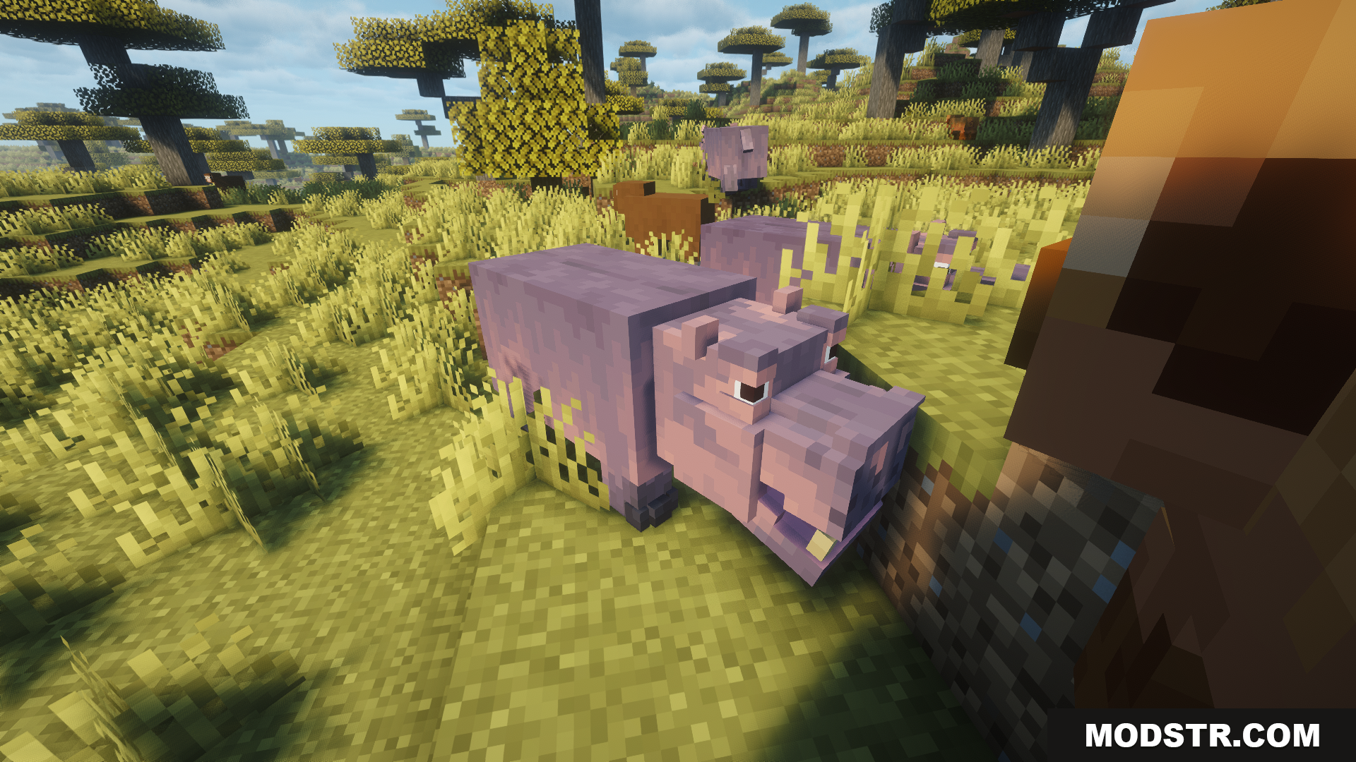 Animal Garden Hippopotamus Mod Screenshot 4 A purple hippopotamus stands in a grassy savanna biome
