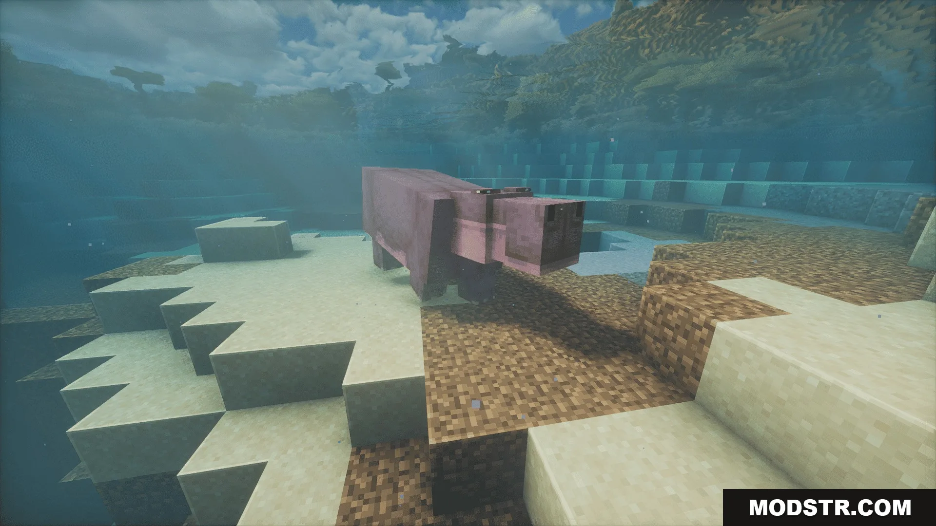 Animalia Exotica Mod Screenshot 5 A blocky purple hippo walking on the sandy floor of a river