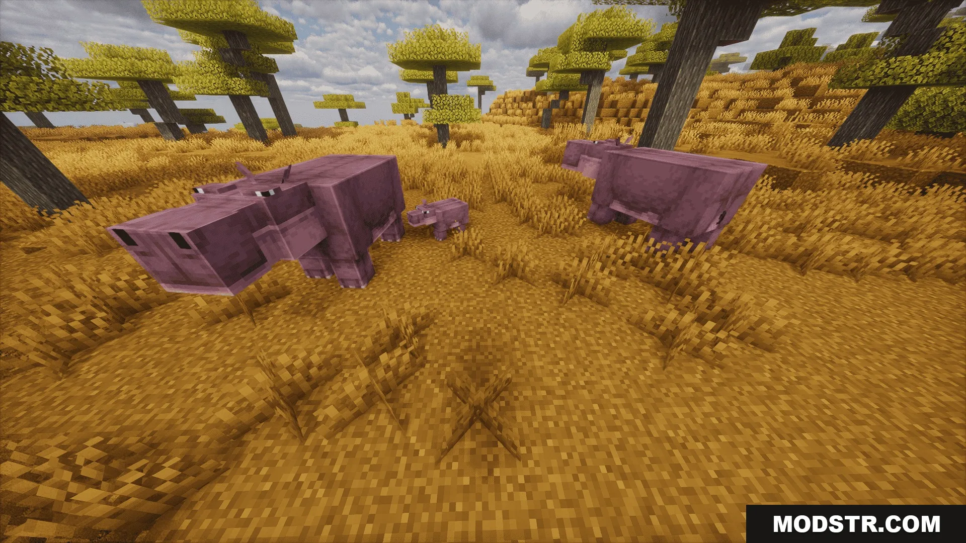 Animalia Exotica Mod Screenshot 6 A family of hippos including a baby wandering through the savanna biome