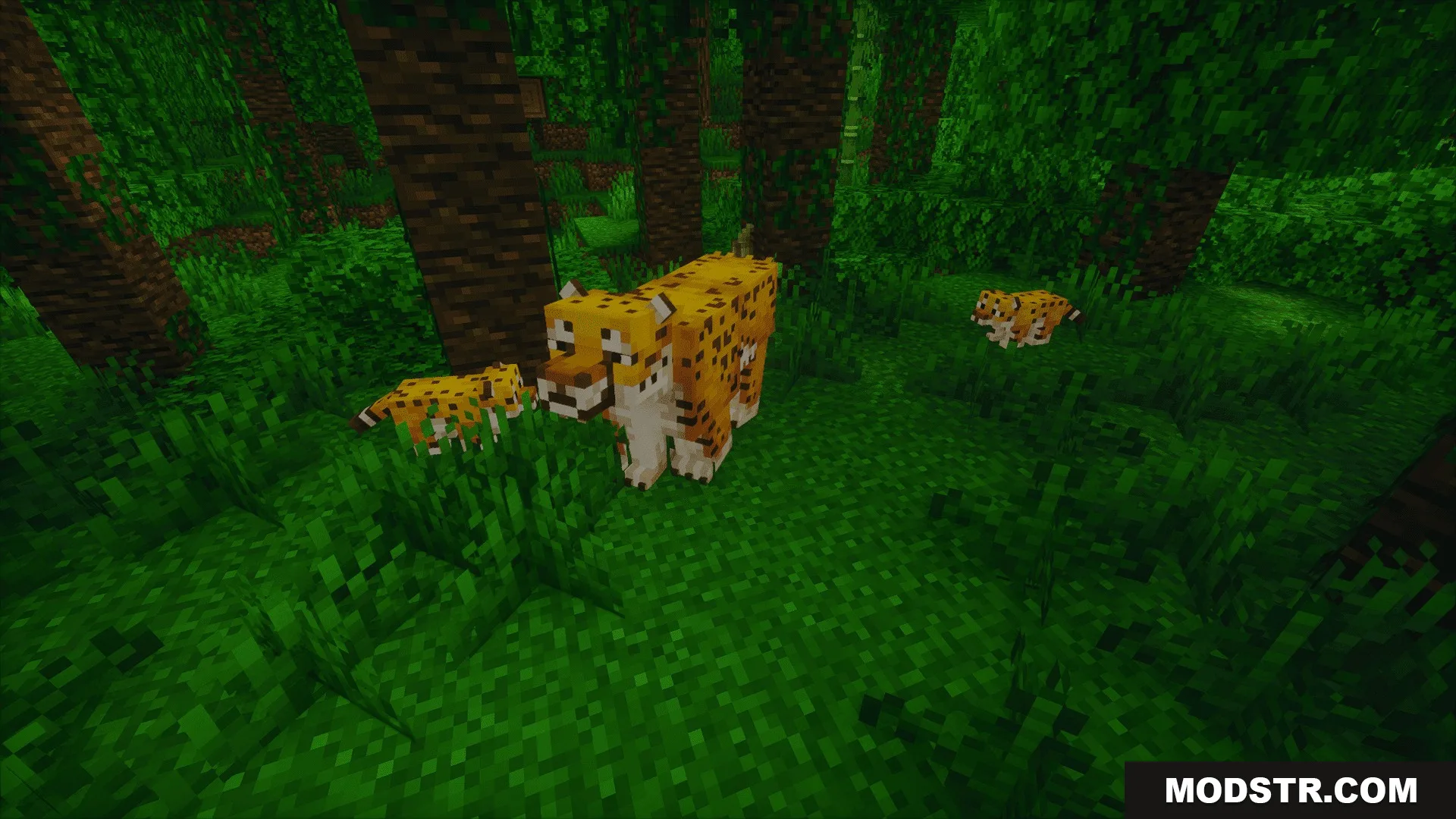 Animalia Exotica Mod Screenshot 2 An adult jaguar exploring the jungle with two of its small cubs