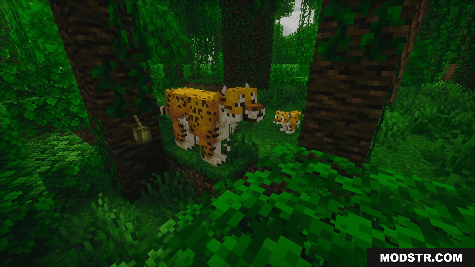 Animalia Exotica Mod Screenshot 1 Animalia Exotica Mod adds jaguars and their cubs to the jungle biome