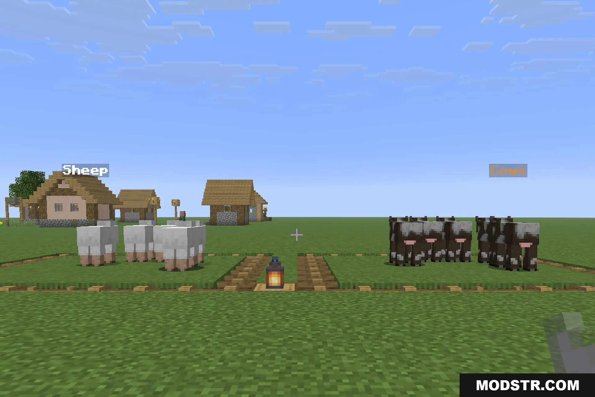 Two animal pens labelled Cows and Sheep