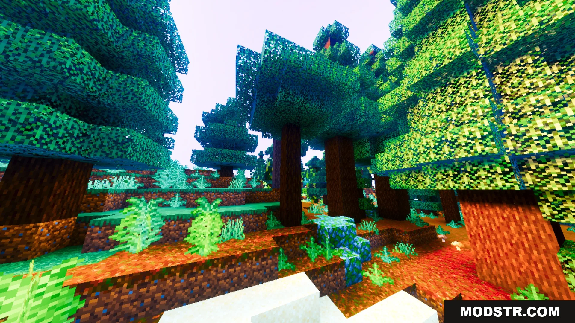 Auralis Shader Screenshot 8 A dense forest with warm lighting and saturated colors on the forest floor