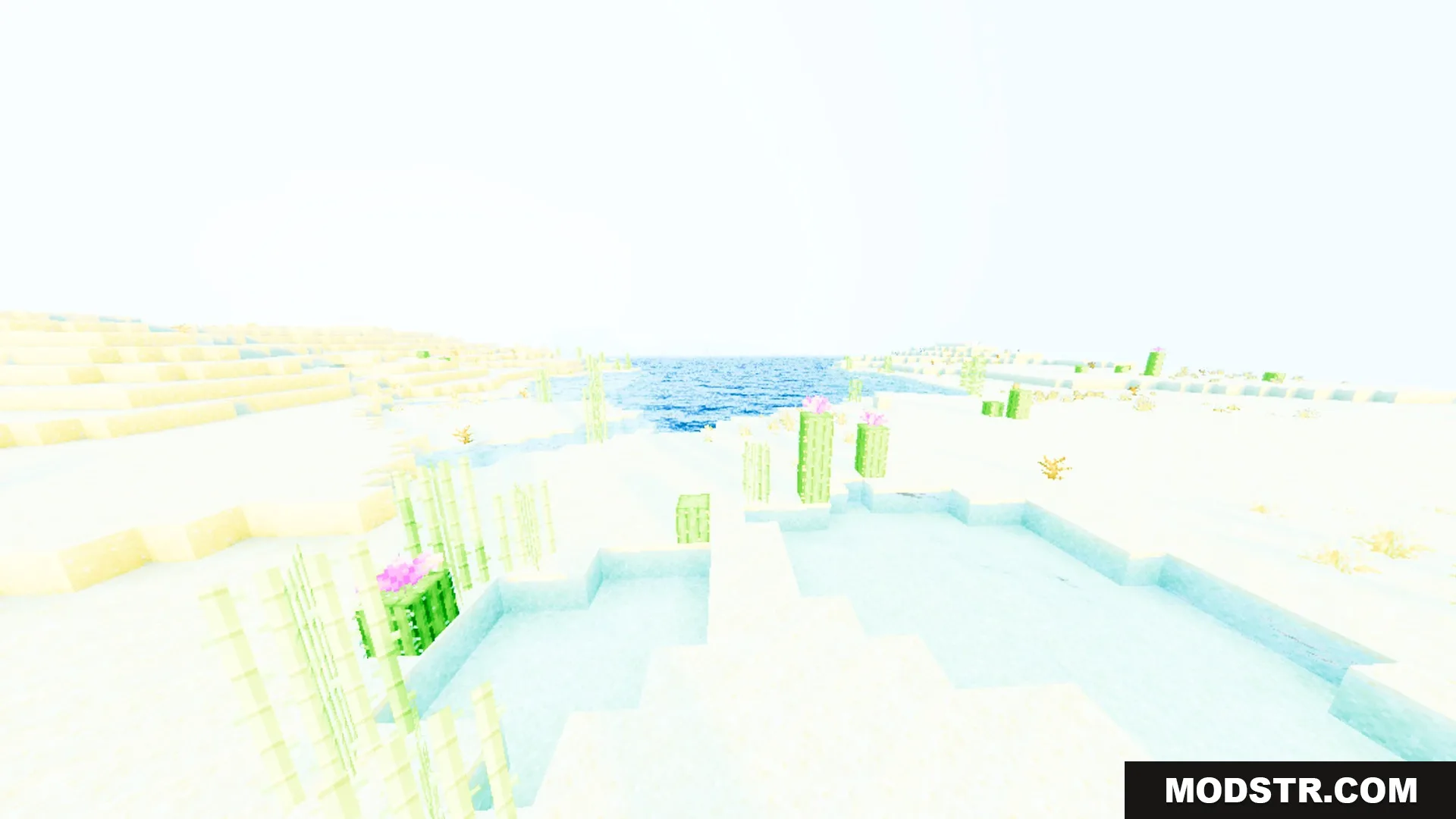 Auralis Shader Screenshot 9 Bright desert landscape with cacti and sugar cane near glassy reflective water