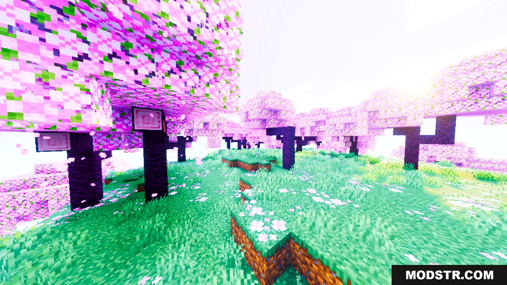 Auralis Shader Screenshot 6 Saturated pink cherry blossom trees in a grassy field with white flowers