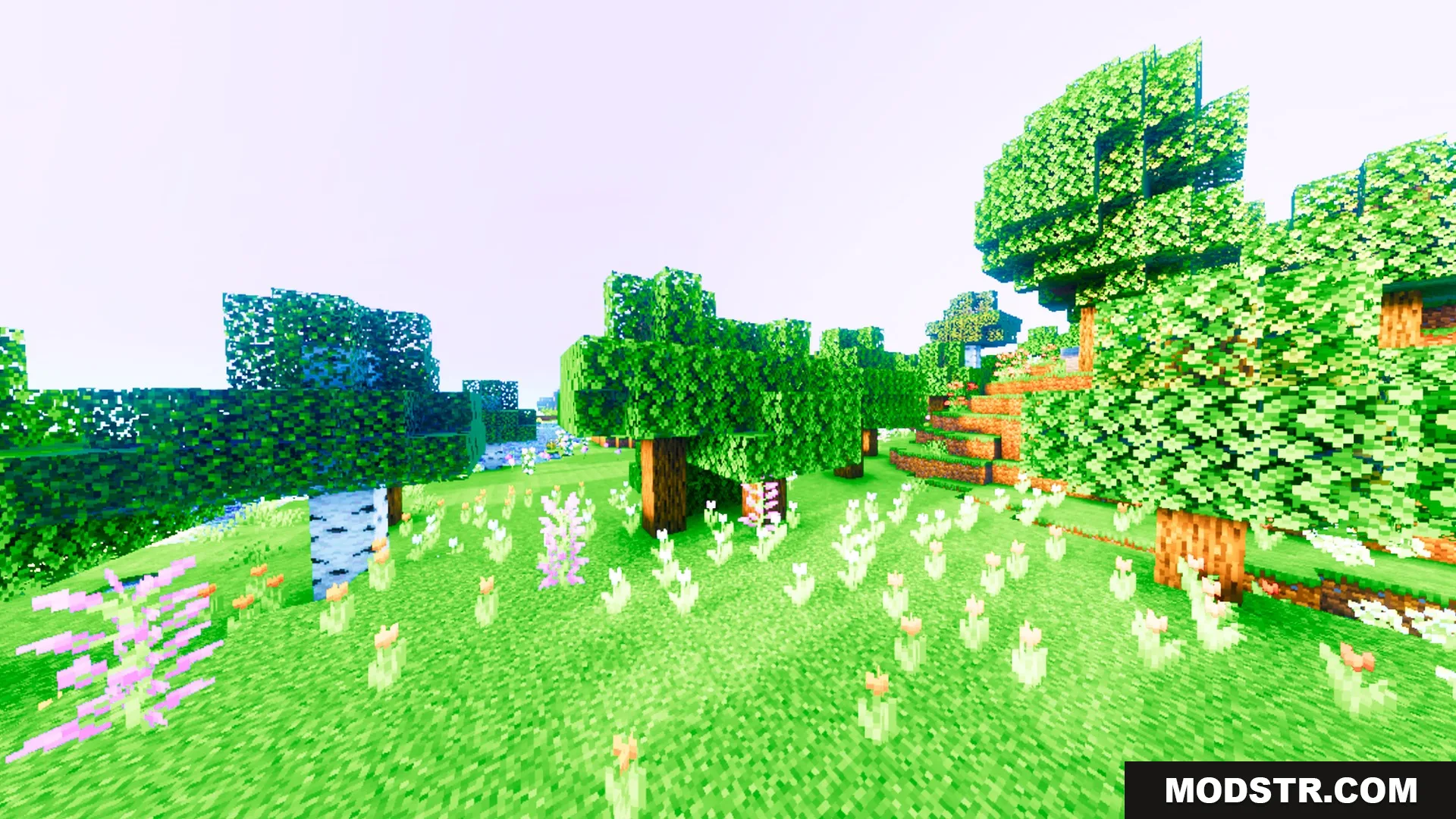 Auralis Shader Screenshot 10 Lush green forest filled with colorful flowers under a warm saturated sky