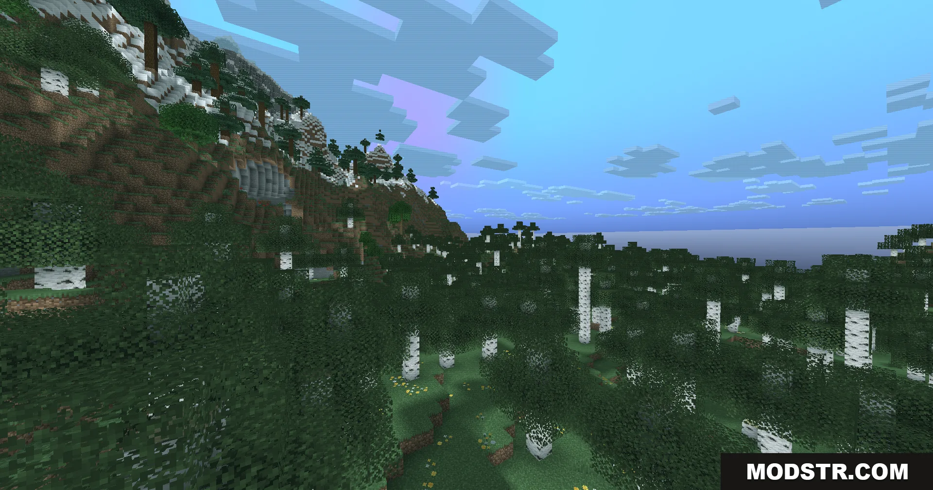 Looking through a birch forest towards a steep mountain slope under blue clouds