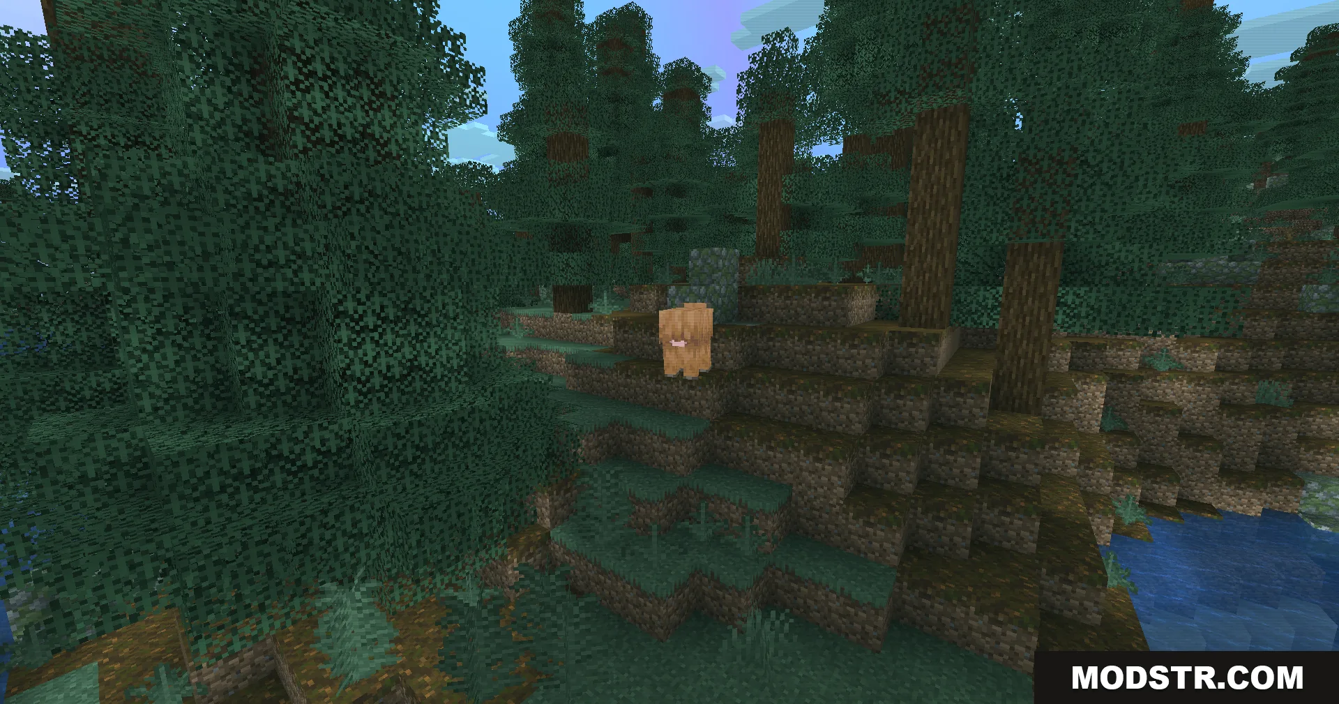 A brown sheep stands on podzol in a spruce forest with teal lighting
