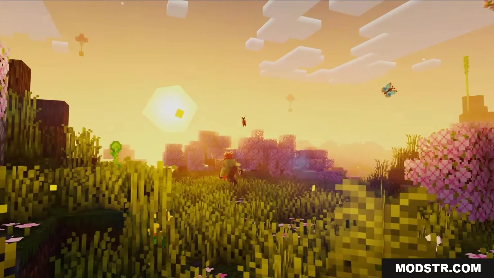 Auth Back Mod Screenshot 2 A player character exploring a lush meadow during a warm golden sunset