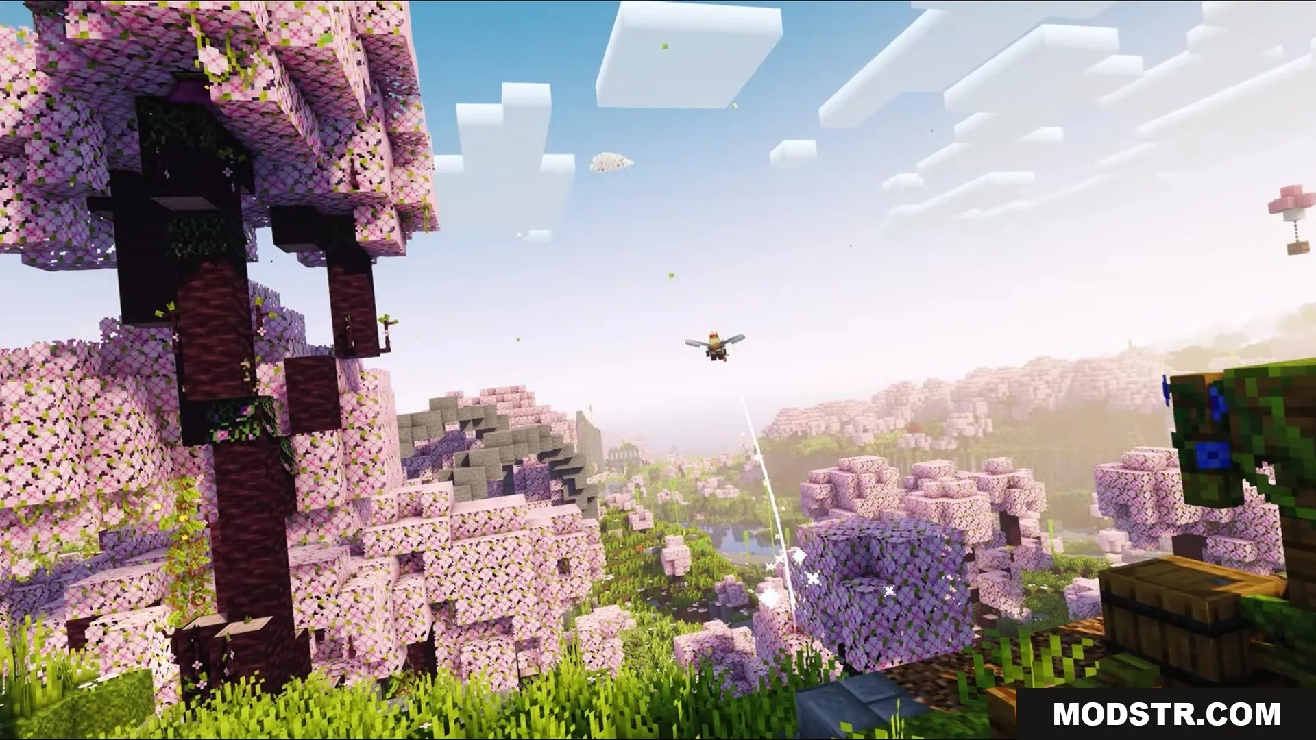 Auth Back Mod Screenshot 3 A player glides over a cherry grove biome with a sniffer nearby