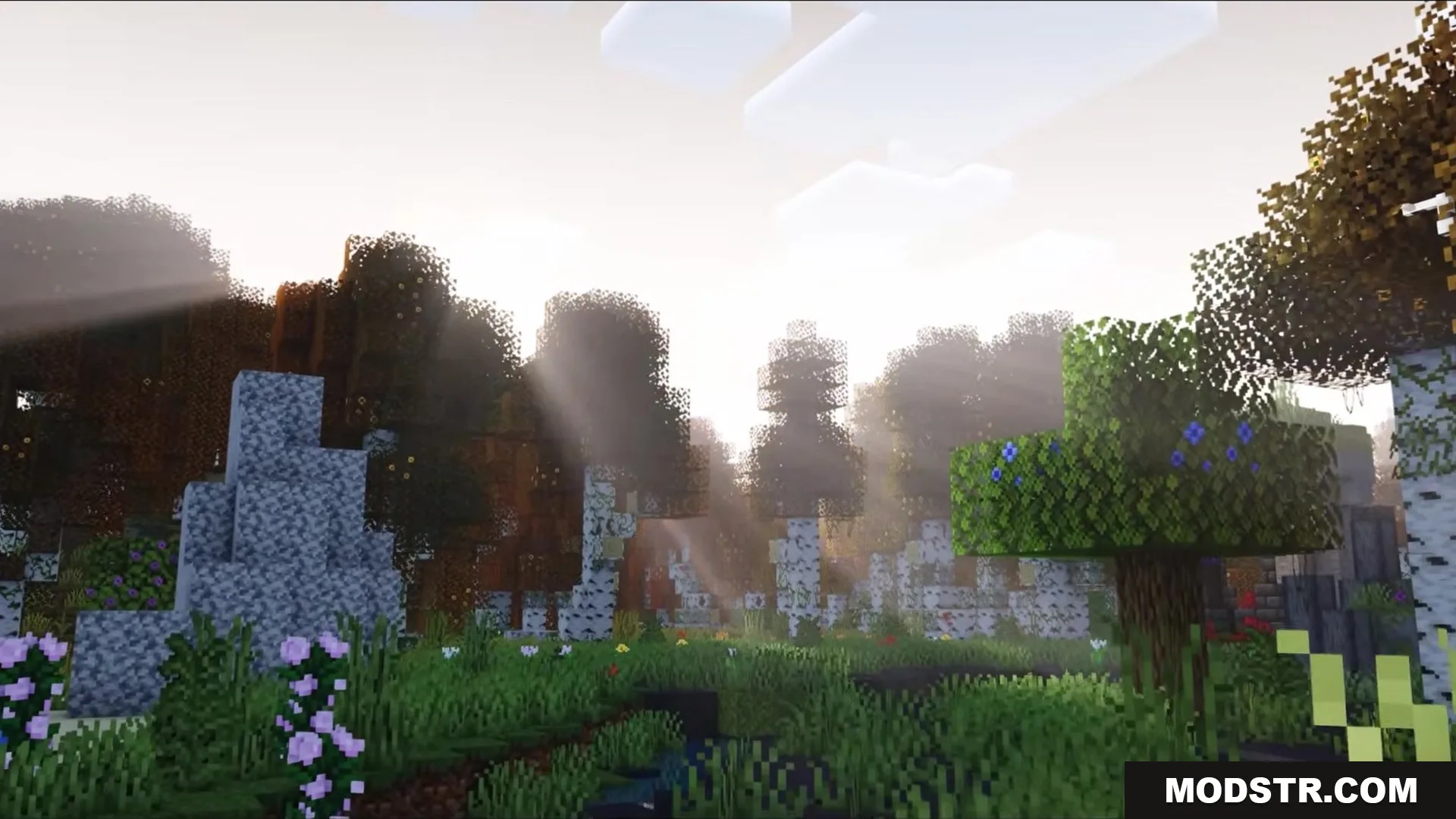 Auth Back Mod Screenshot 9 Sunbeams shining through the leaves of birch trees in a dense Minecraft forest