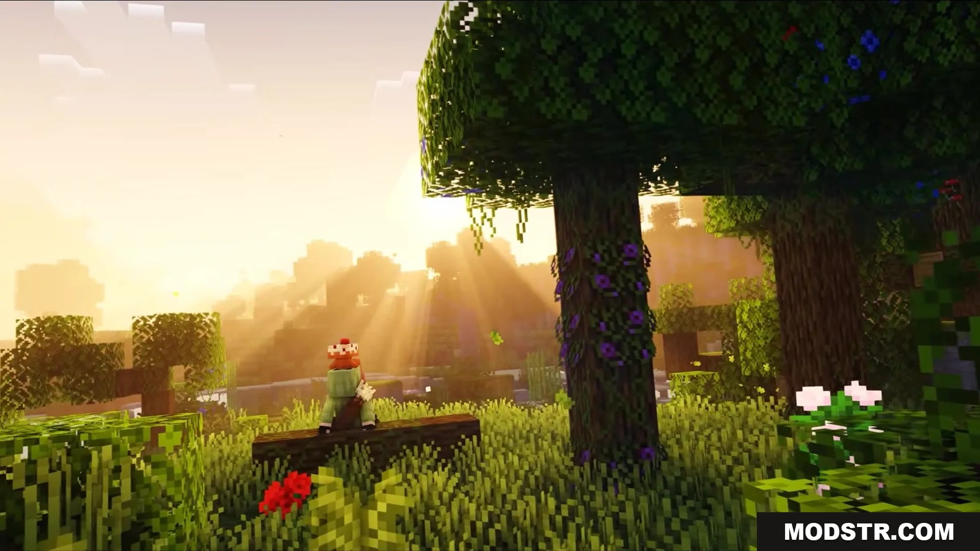 Auth Back Mod Screenshot 6 Minecraft character sitting on a log while sunlight filters through the trees