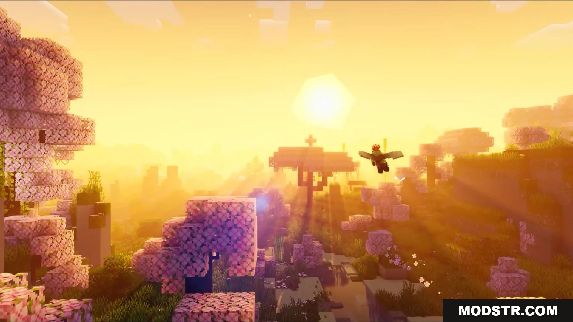 Auth Back Mod Screenshot 5 Player flying with elytra over a pink cherry blossom forest during sunset