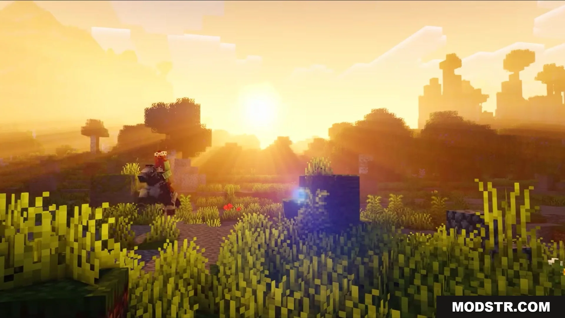 Auth Back Mod Screenshot 7 Player riding a horse through a grassy field during a beautiful orange sunset