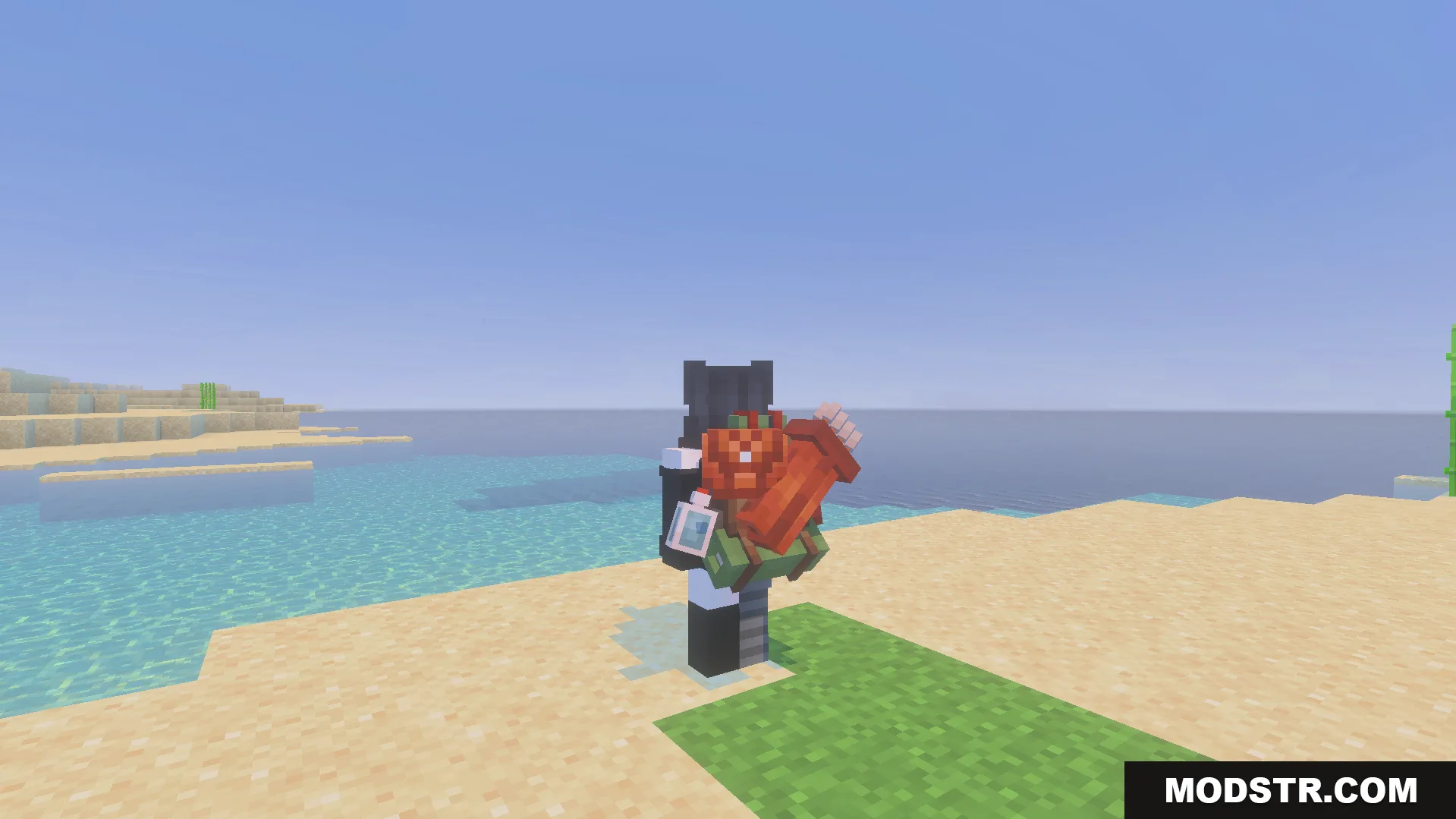 Backpacked Armor Texture Pack Screenshot 1 Player character wearing a cosmetic backpack on a sandy beach