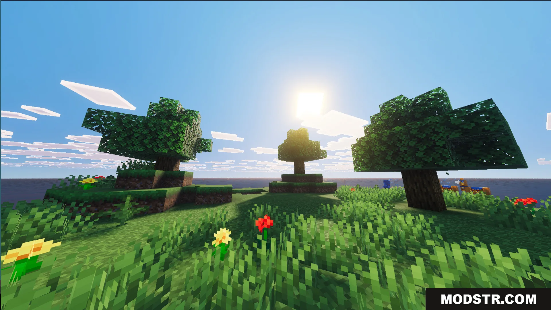 Close up of a tiny grassy island featuring three trees and flowers