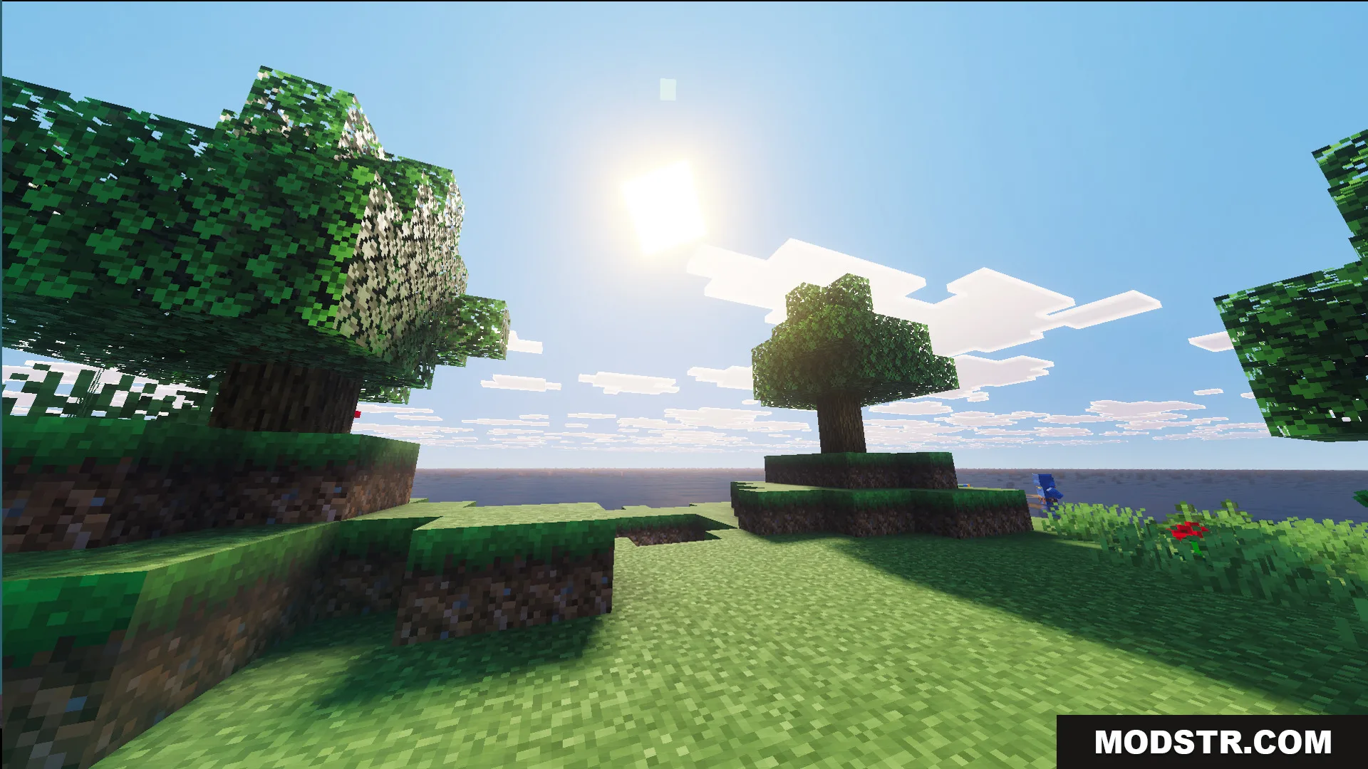 A small grassy island with trees under a bright sun in the ocean