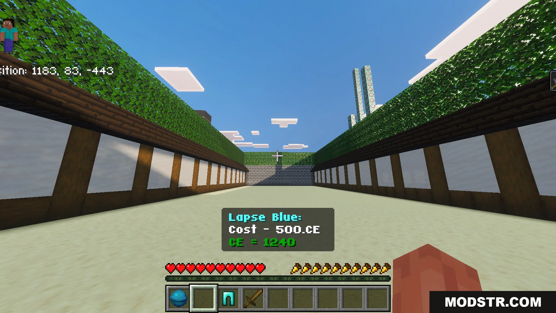 Battle Kaisen Map Screenshot 7 Player standing in a custom battleground arena from the Battle Kaisen Map