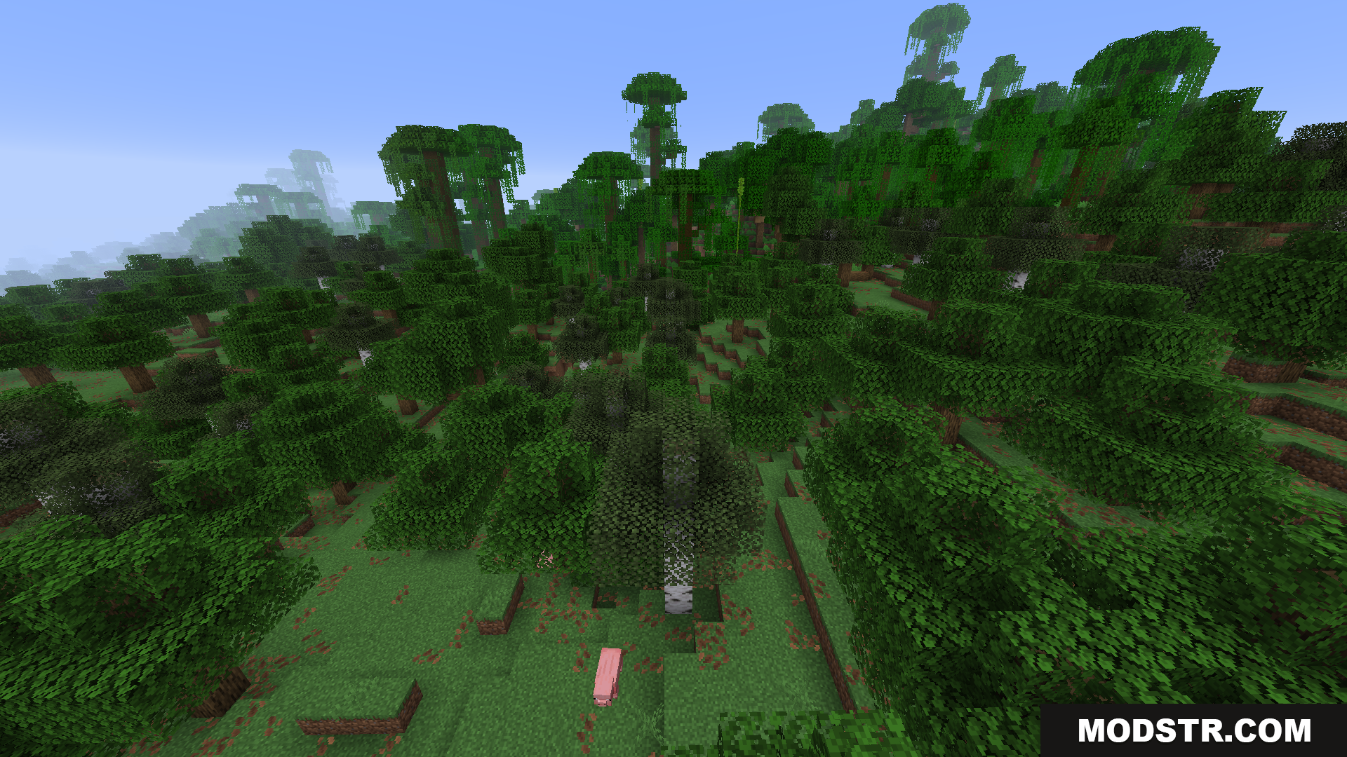 BCLib Neoforge Mod Screenshot 5 Dense jungle biome featuring tall trees vines and a pink pig