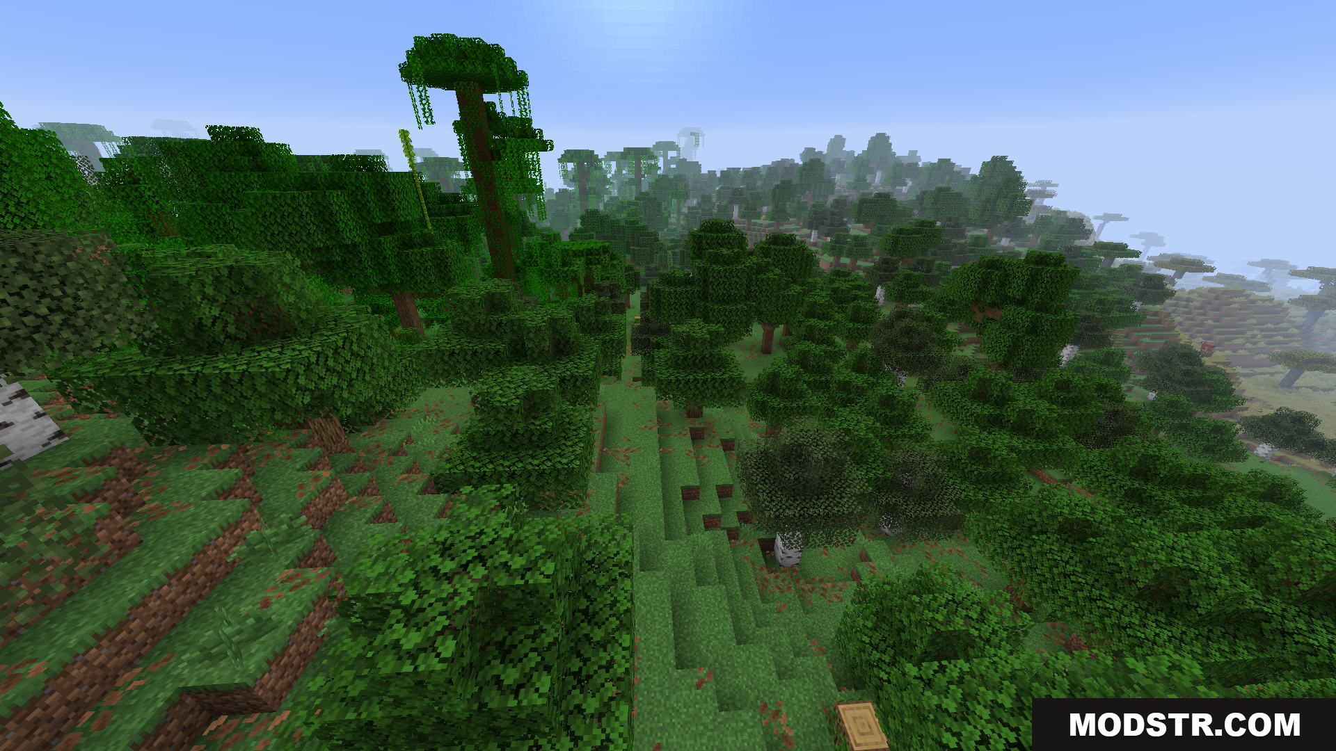 BCLib Neoforge Mod Screenshot 6 Mixed forest biome transitioning into a dense jungle with tall trees