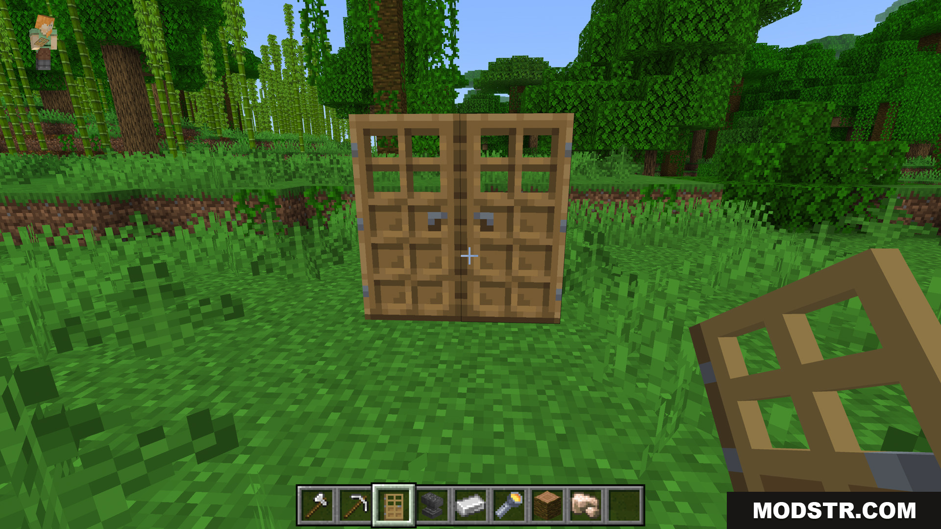 Bedrock Essentials+ Addon Screenshot 11 This addon lets you open both double doors at once