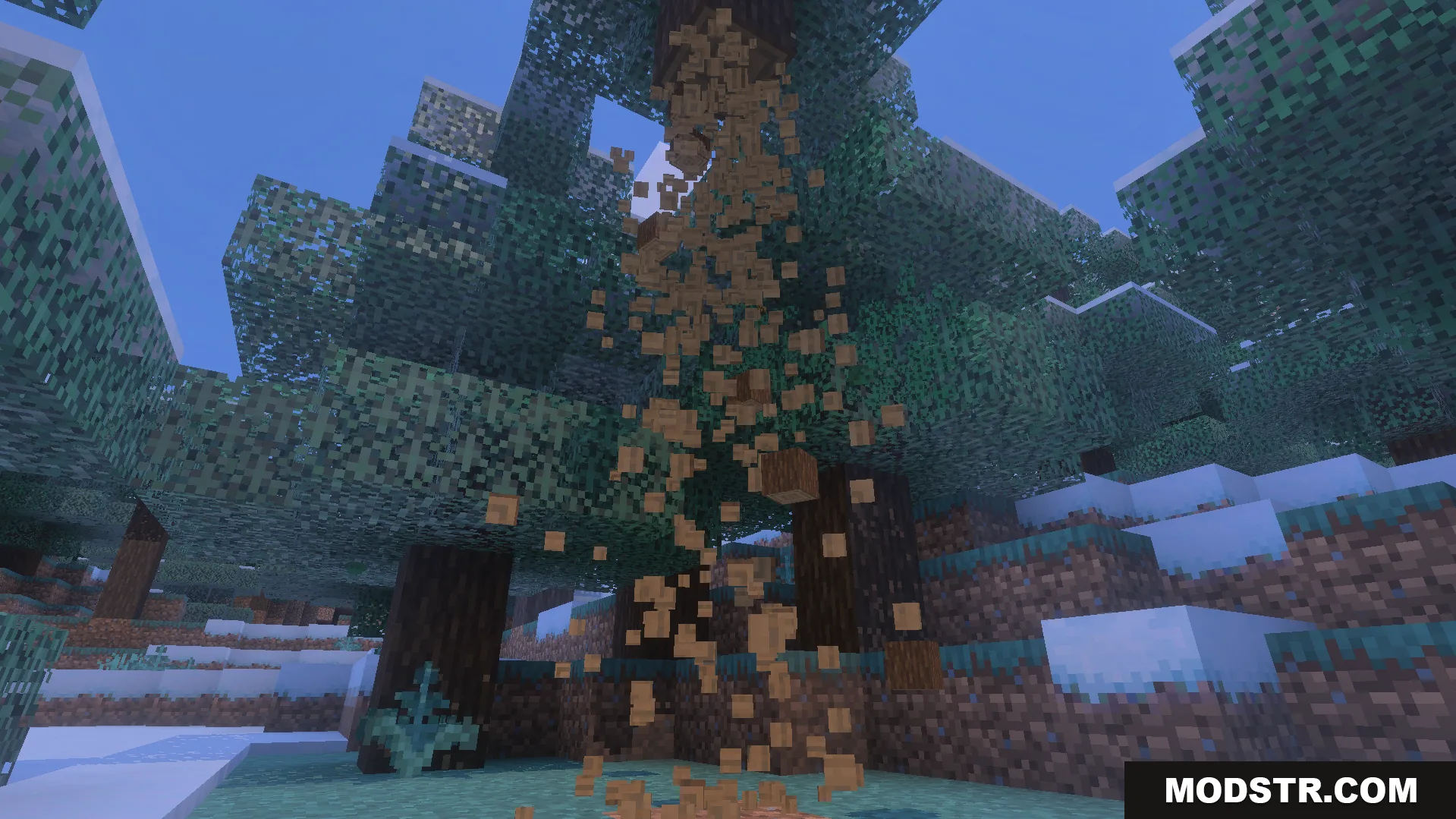 Bedrock Tree Capitator Addon Screenshot 9 Bedrock Tree Capitator Addon breaking a spruce tree in a snowy forest