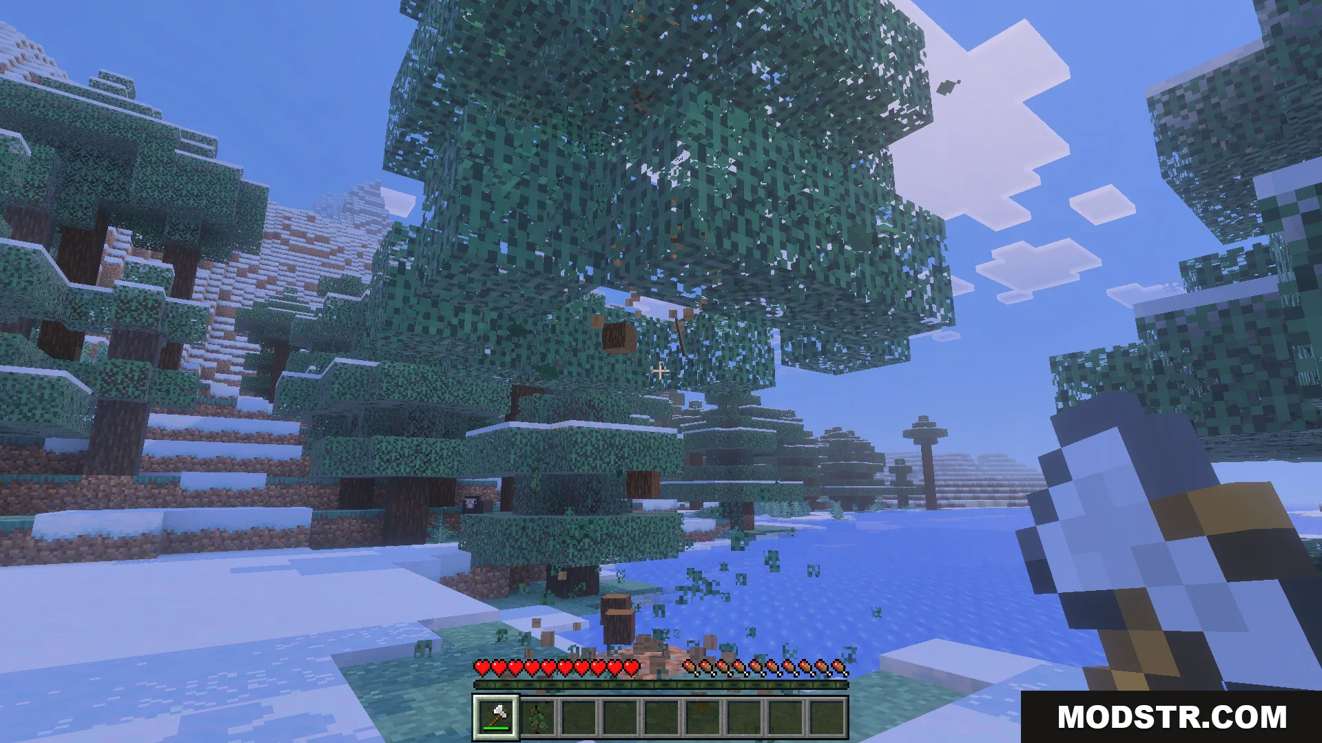 Bedrock Tree Capitator Addon Screenshot 7 Player using an axe to chop a large spruce tree in snowy biome