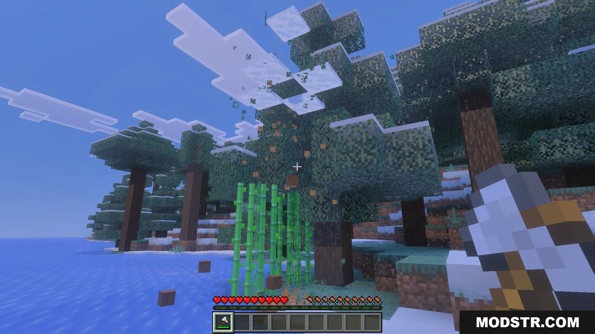 Bedrock Tree Capitator Addon Screenshot 3 Player chops a tree and wood blocks fall using Bedrock Tree Capitator Addon
