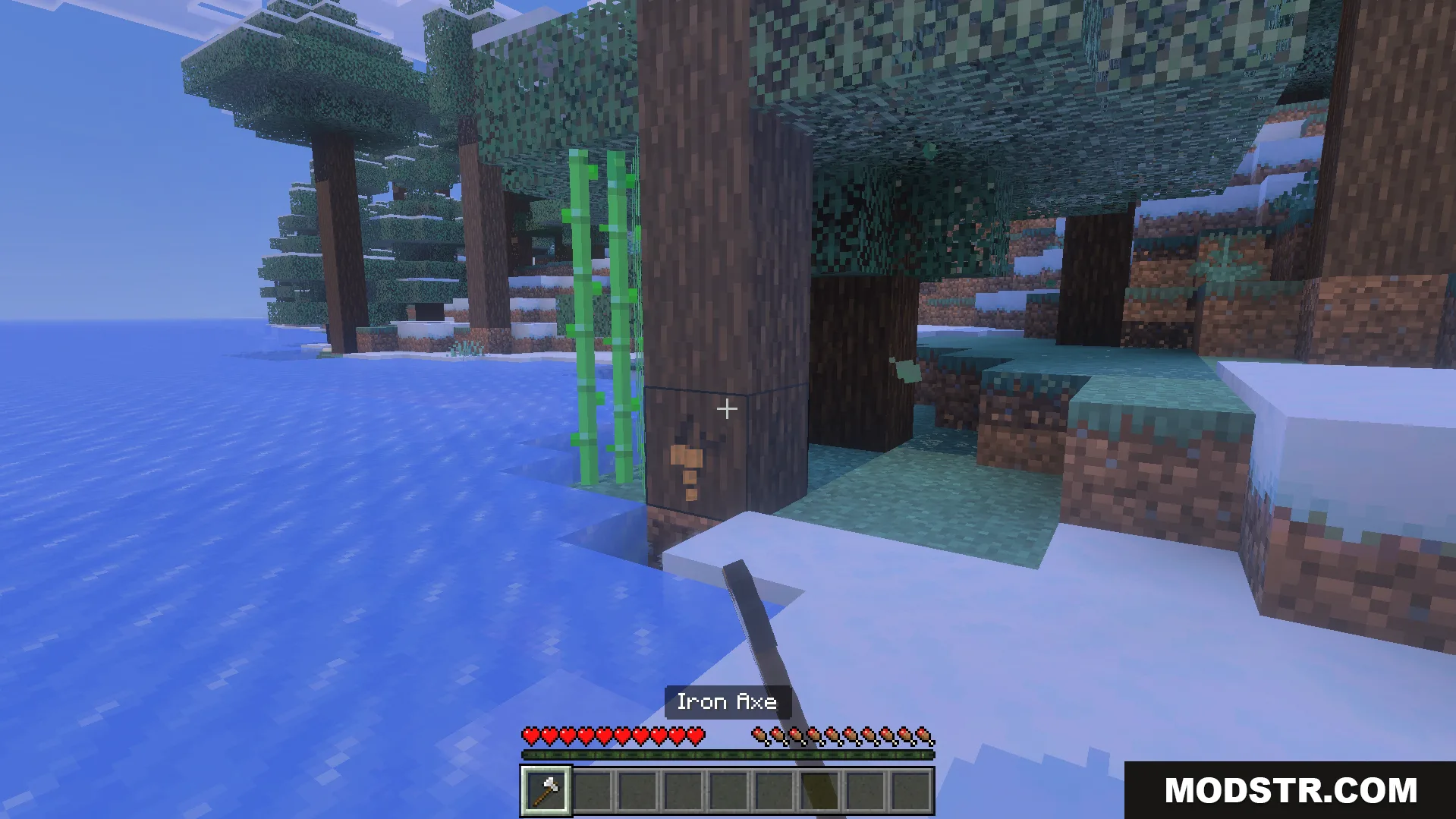 Bedrock Tree Capitator Addon Screenshot 2 Player holding an iron axe while standing in a snowy forest biome