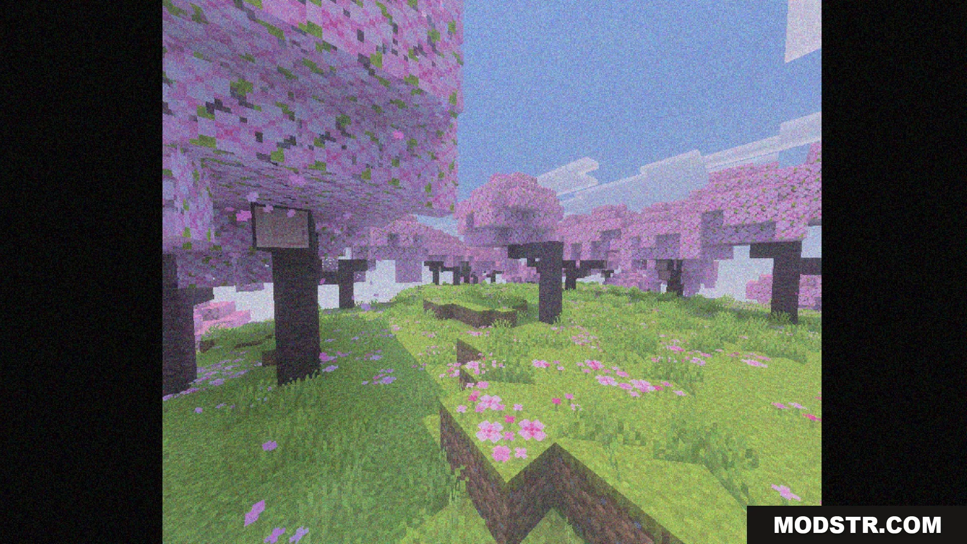 Bedrock VHS Shader Screenshot 7 Pink cherry blossom trees in Minecraft with a vintage VHS camera filter effect