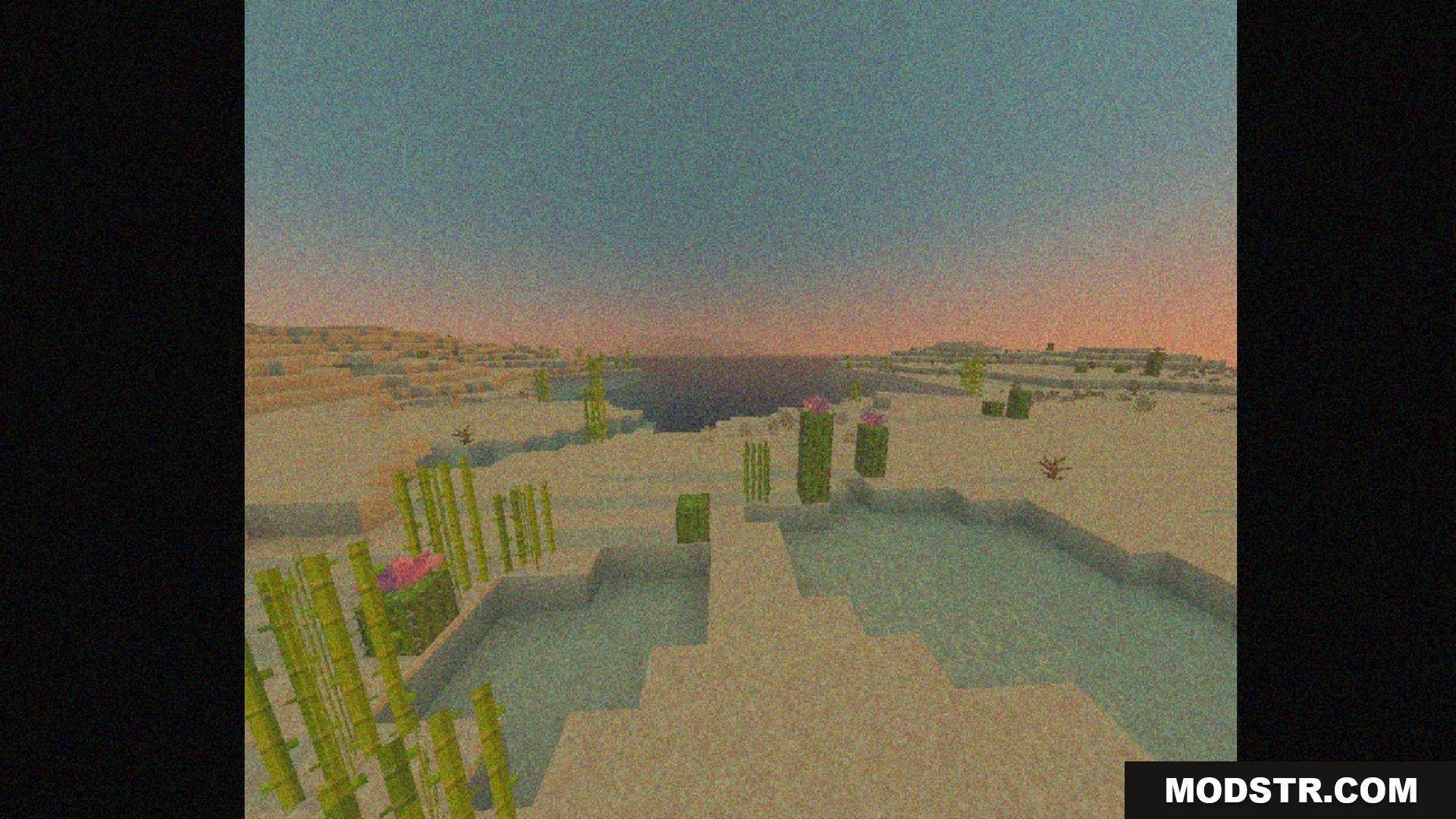 Bedrock VHS Shader Screenshot 8 A desert biome with sugarcane and cacti using a retro VHS filter