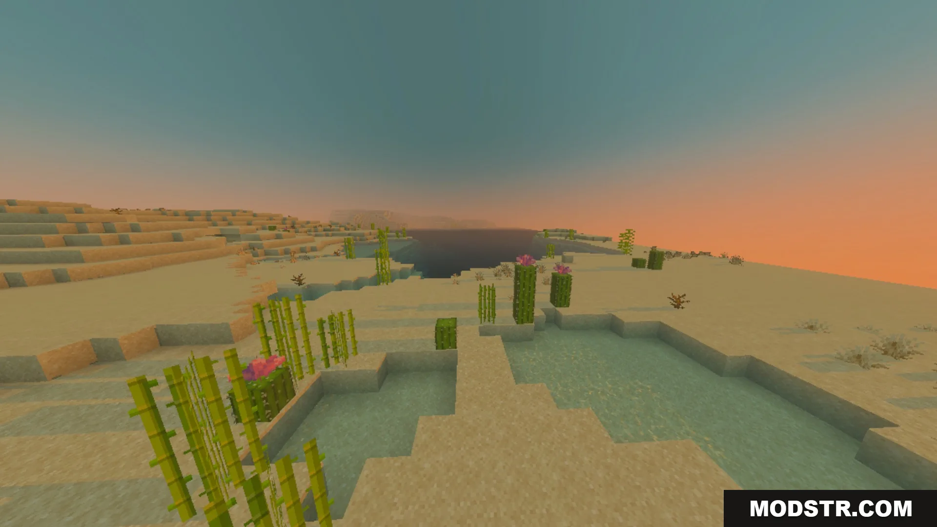 Better 3D Armors Shader Screenshot 8 Sugar cane and cacti growing near water in a desert during sunset