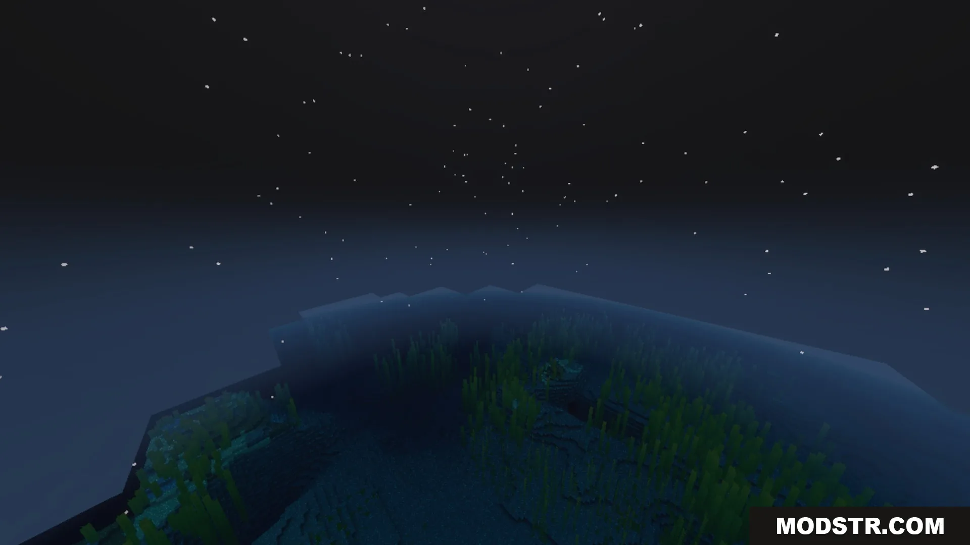 Better 3D Armors Shader Screenshot 3 A peaceful underwater view of kelp plants under a starry night sky