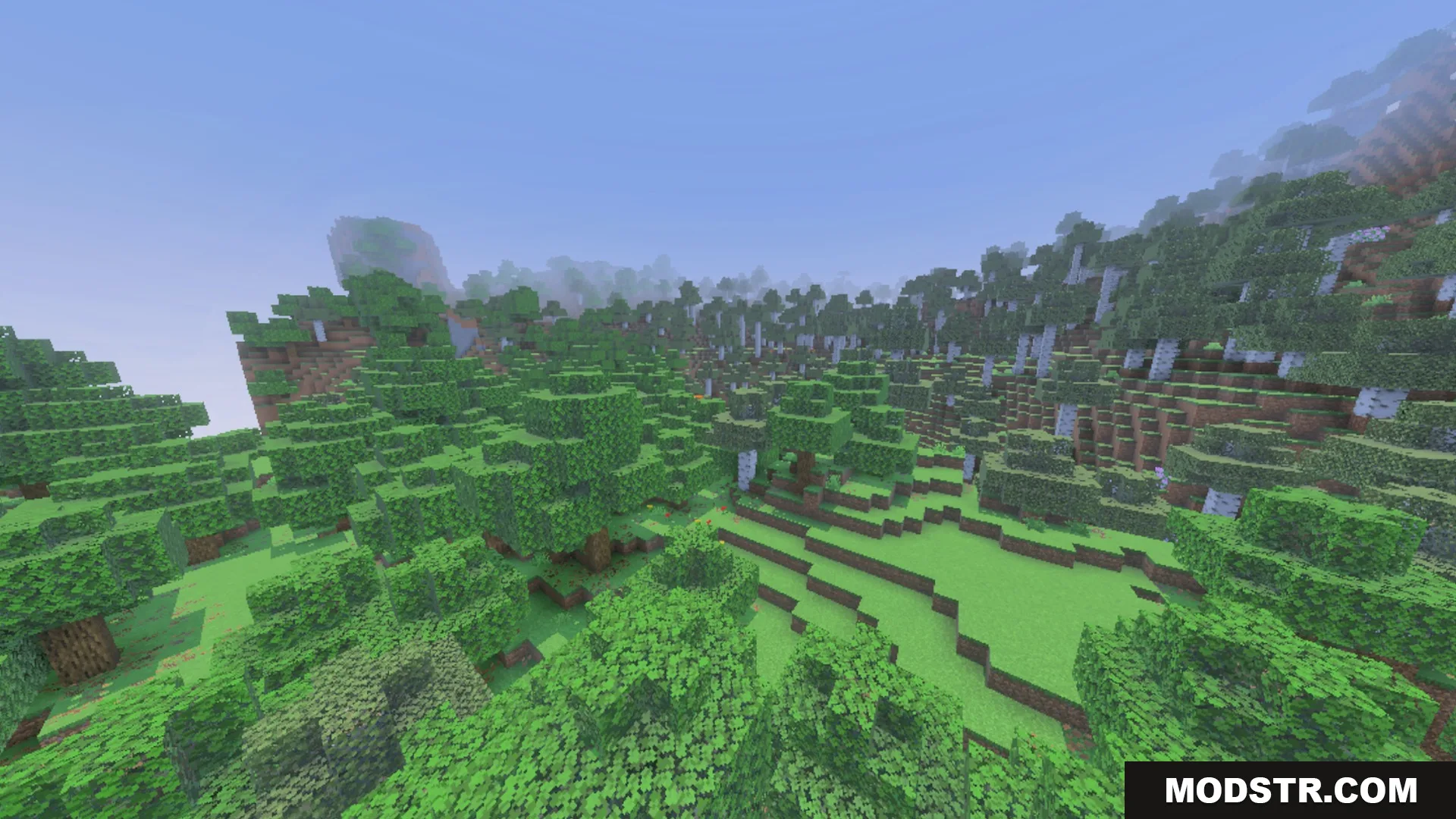 Better 3D Armors Shader Screenshot 6 Dense forest biome with green oak and birch trees on rolling hills