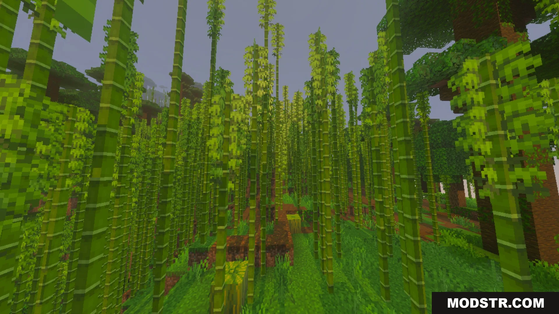 Better 3D Armors Shader Screenshot 9 A dense bamboo jungle biome with tall green stalks and lush vegetation