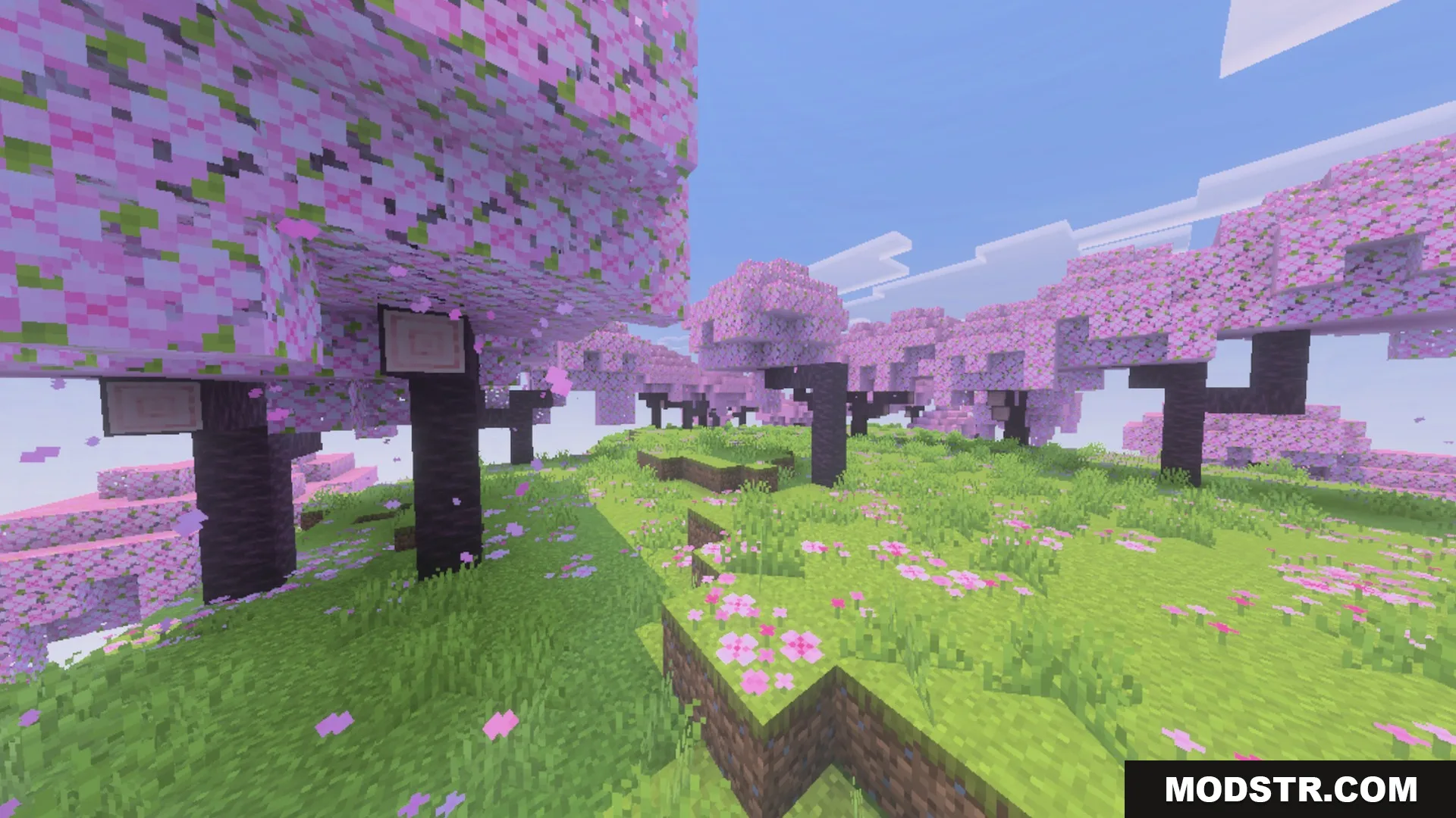 Better 3D Armors Shader Screenshot 5 Beautiful cherry blossom grove with pink trees and petals on the grass