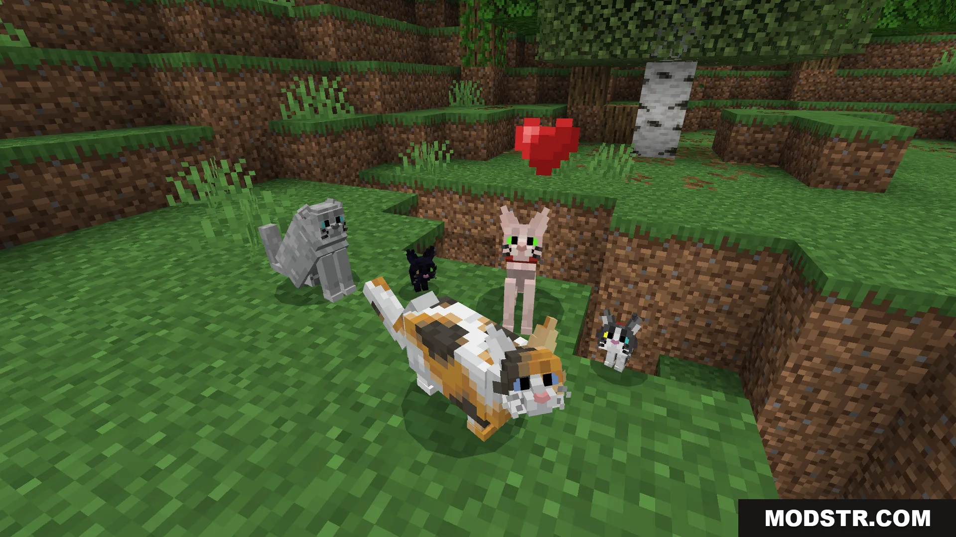 Better Cats Texture Pack Screenshot 5 The pack adds many unique feline variations to the game