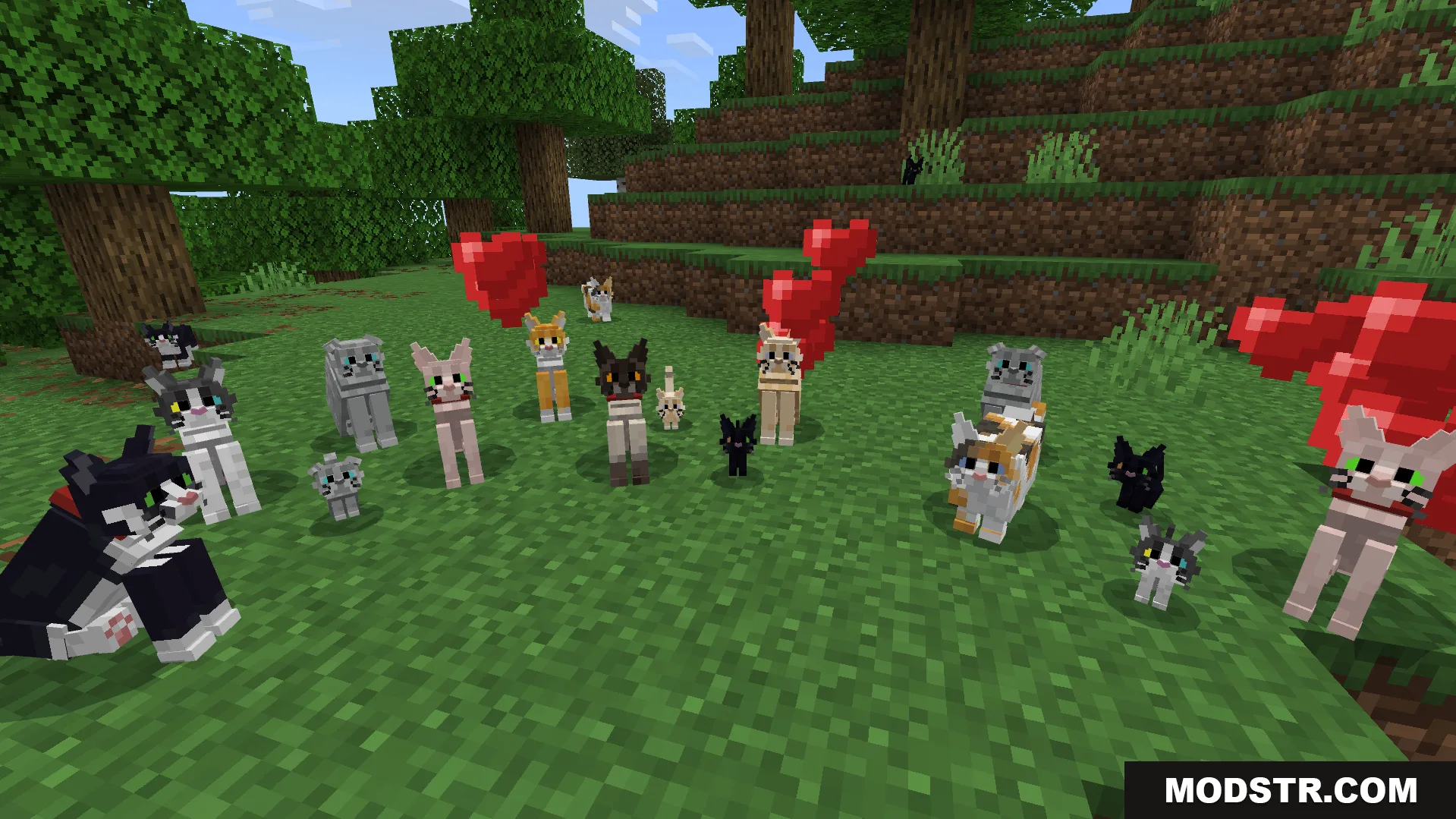 Better Cats Texture Pack Screenshot 4 Better Cats Texture Pack adds many unique feline variations with different eye colors