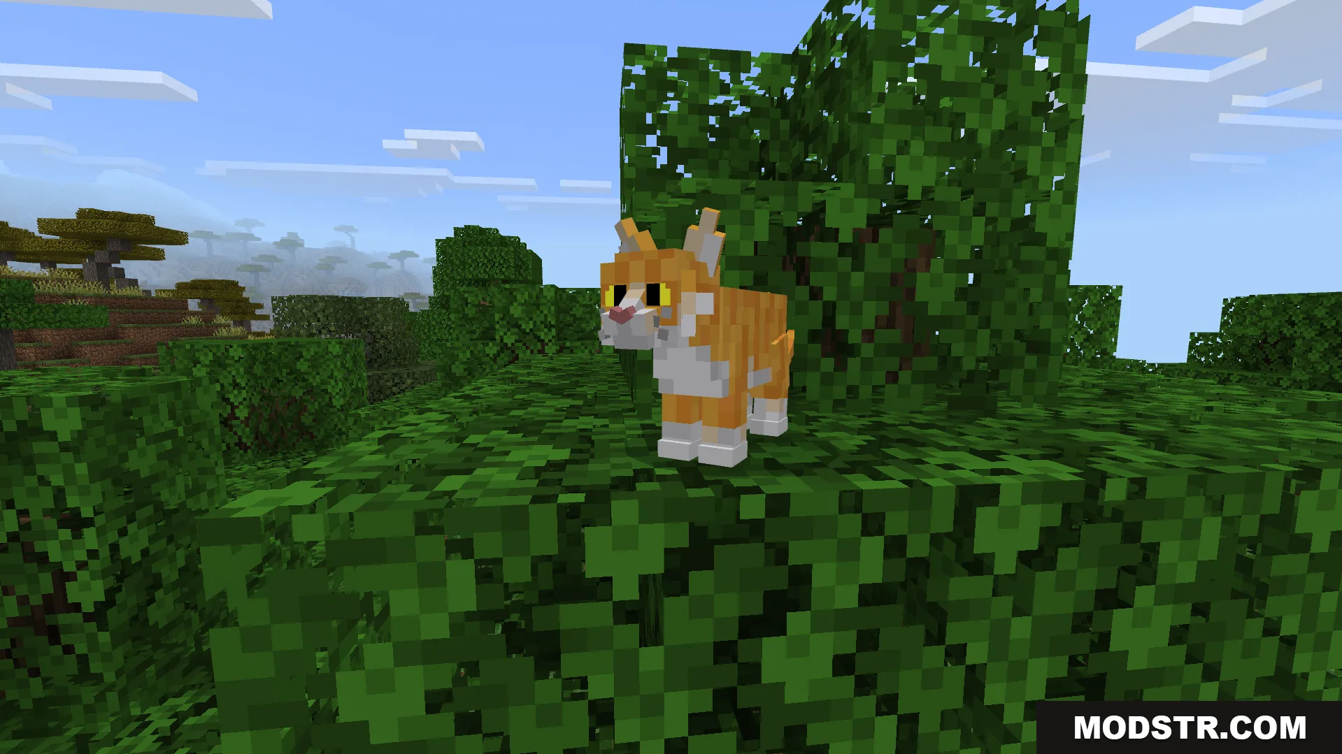 Better Cats Texture Pack Screenshot 2 A ginger cat with custom features standing on top of green tree leaves