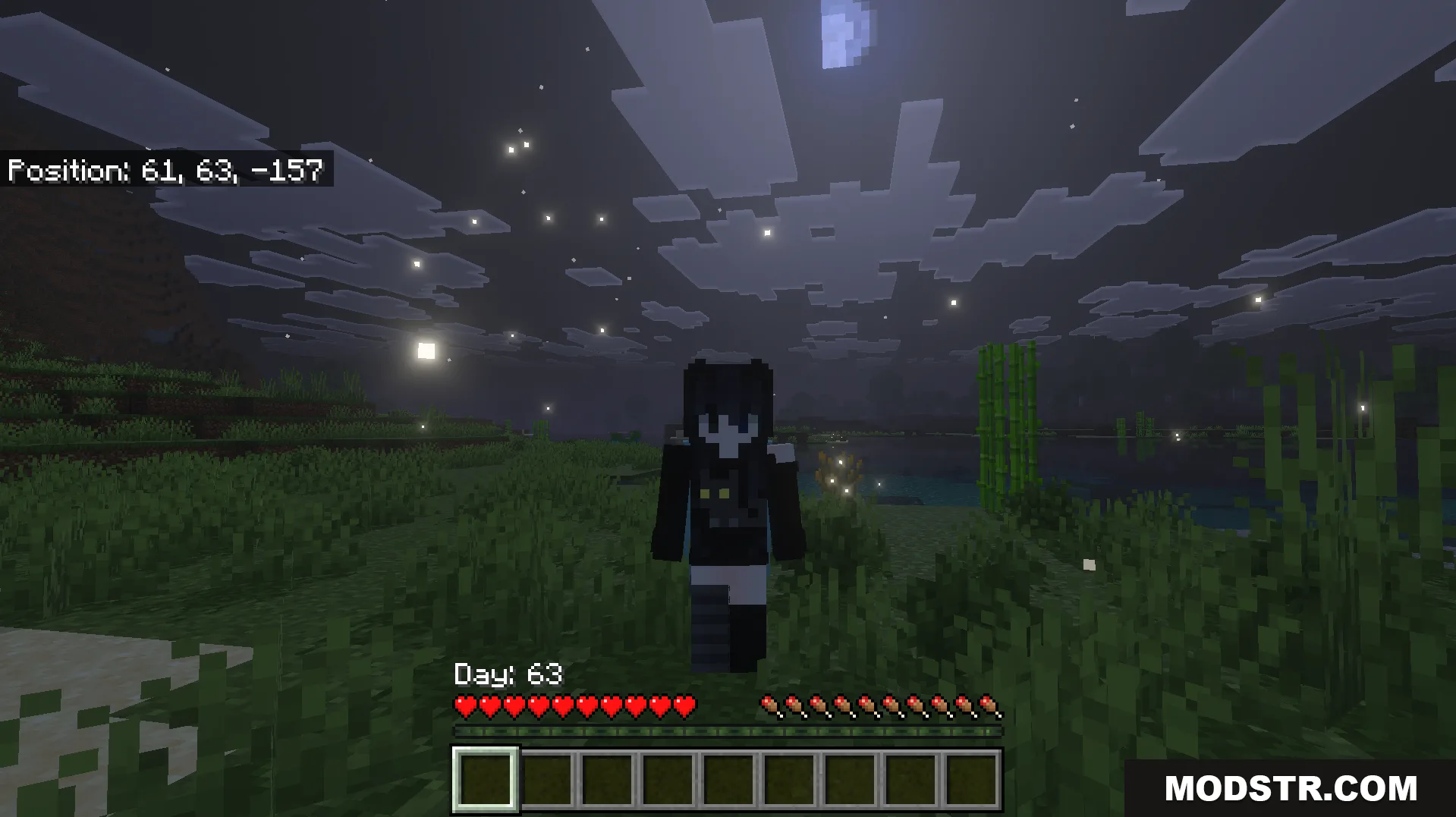 Better Days Played Texture Pack Screenshot 6 A player poses at night with the relocated day counter